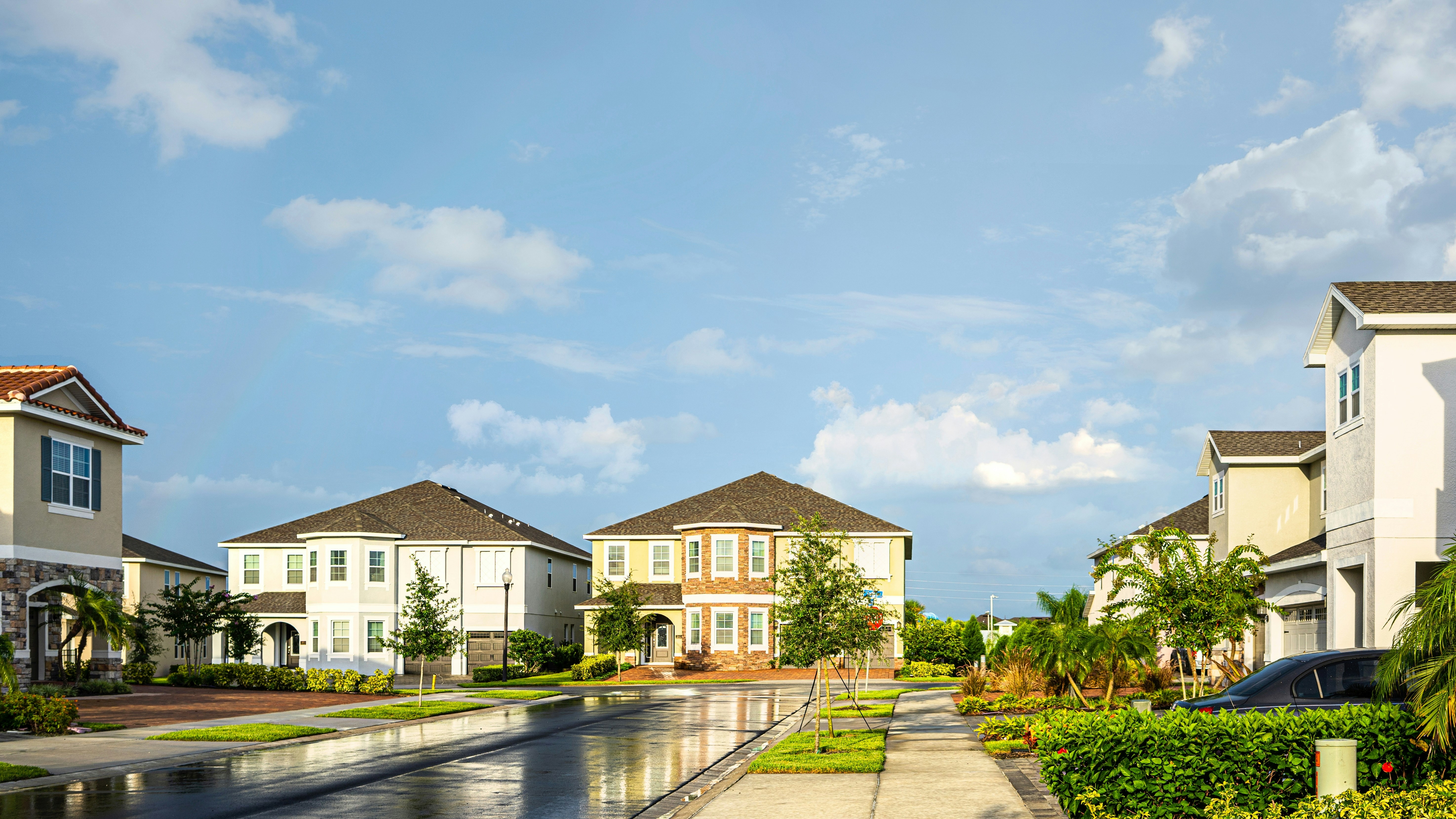 Coastal homes with palm trees and mountains in the background