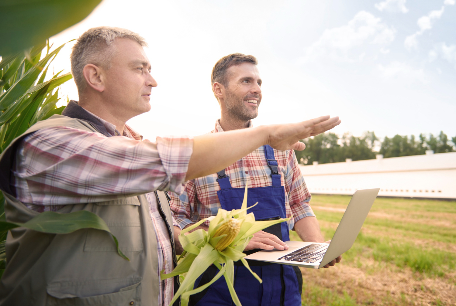 How Federal Crop Insurance Subsidies Work
