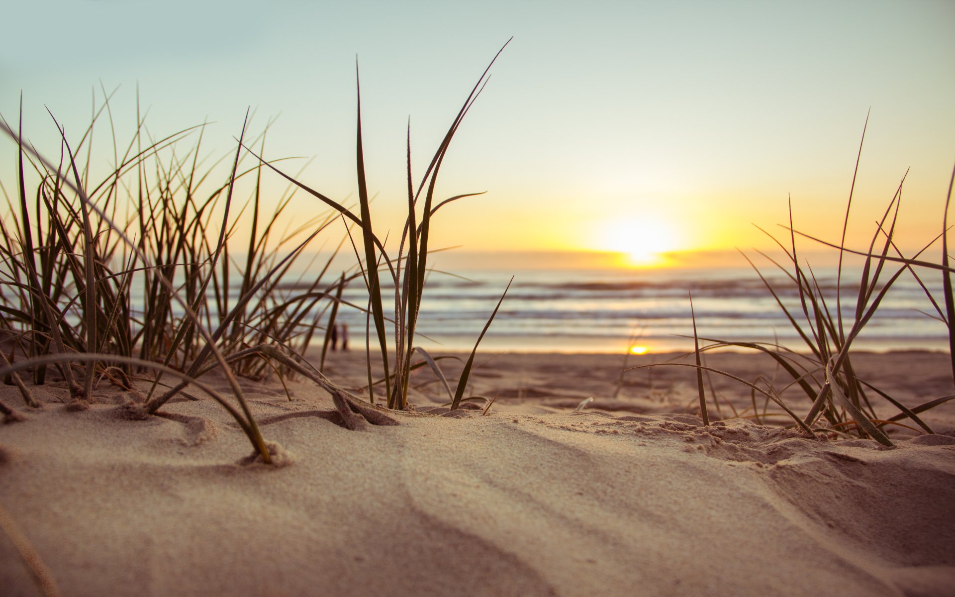 Navigating the Basics: Understanding Medicare Enrollment Periods