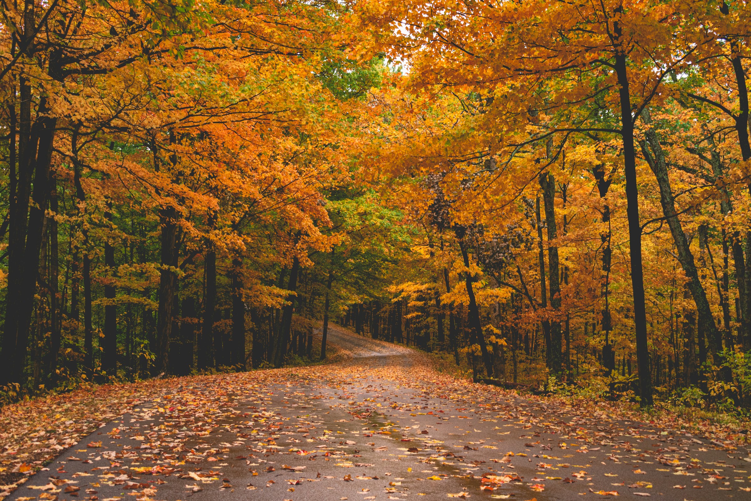 Why Fall Business Tax Planning Matters for Owners