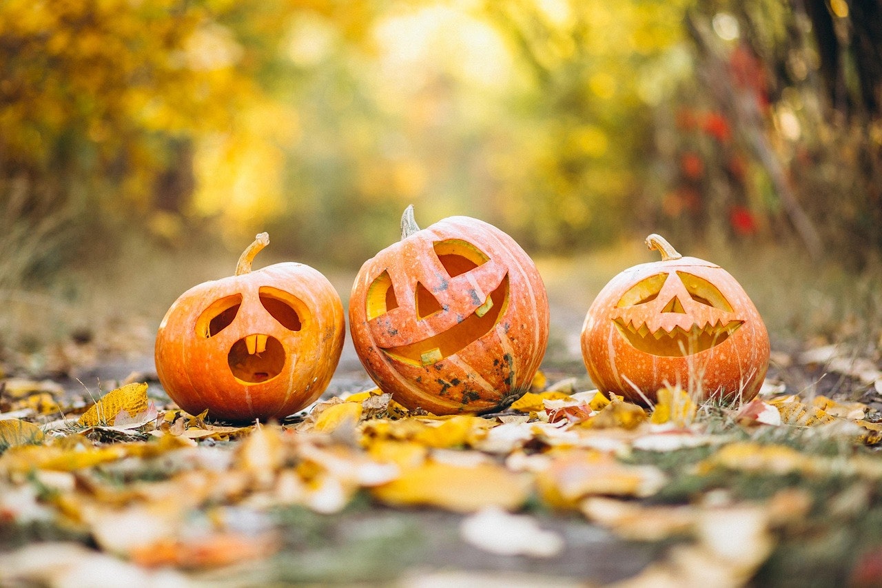 Don't Get Spooked by Payroll Compliance