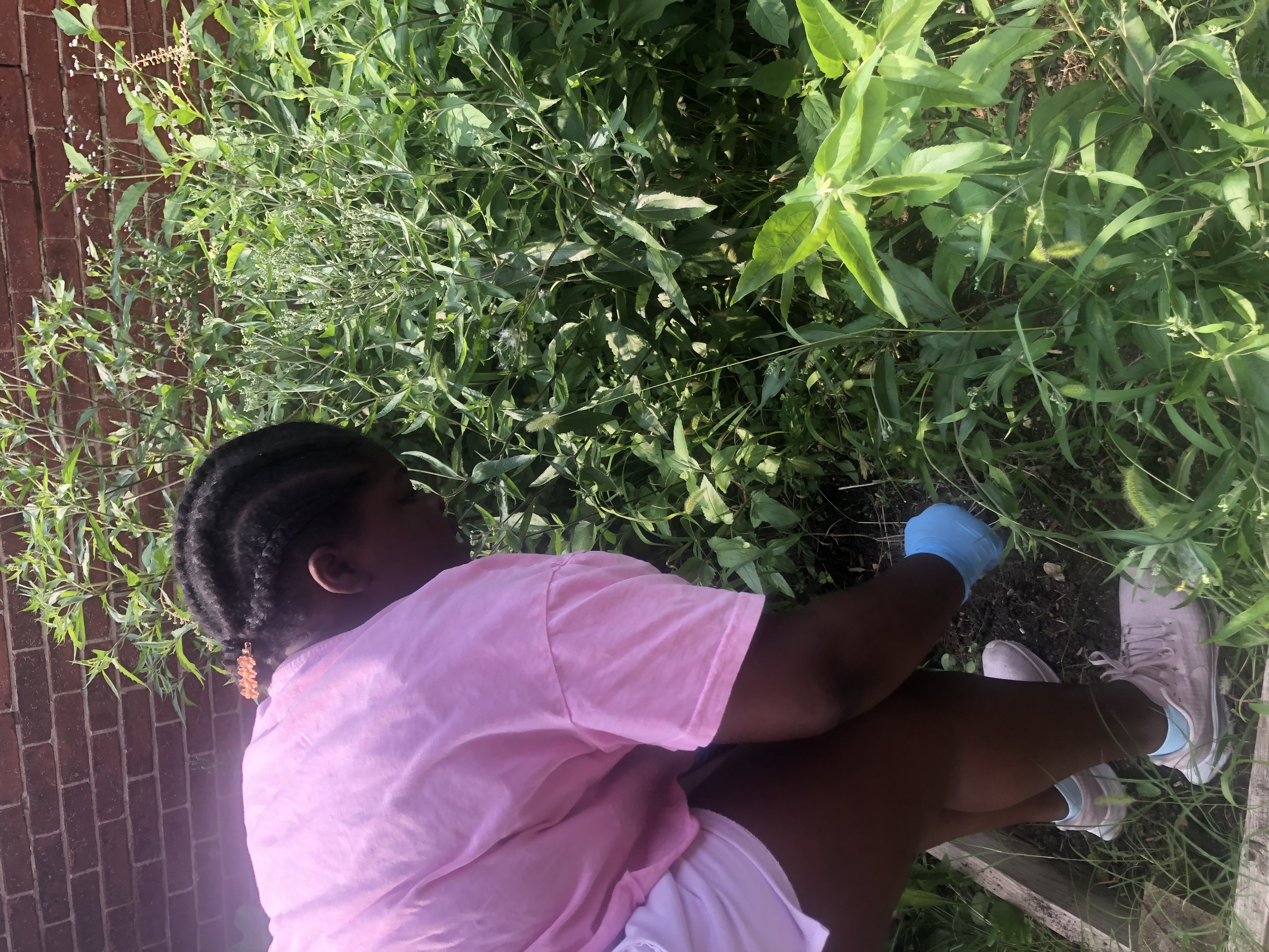 The Village Learning Place Youth Garden