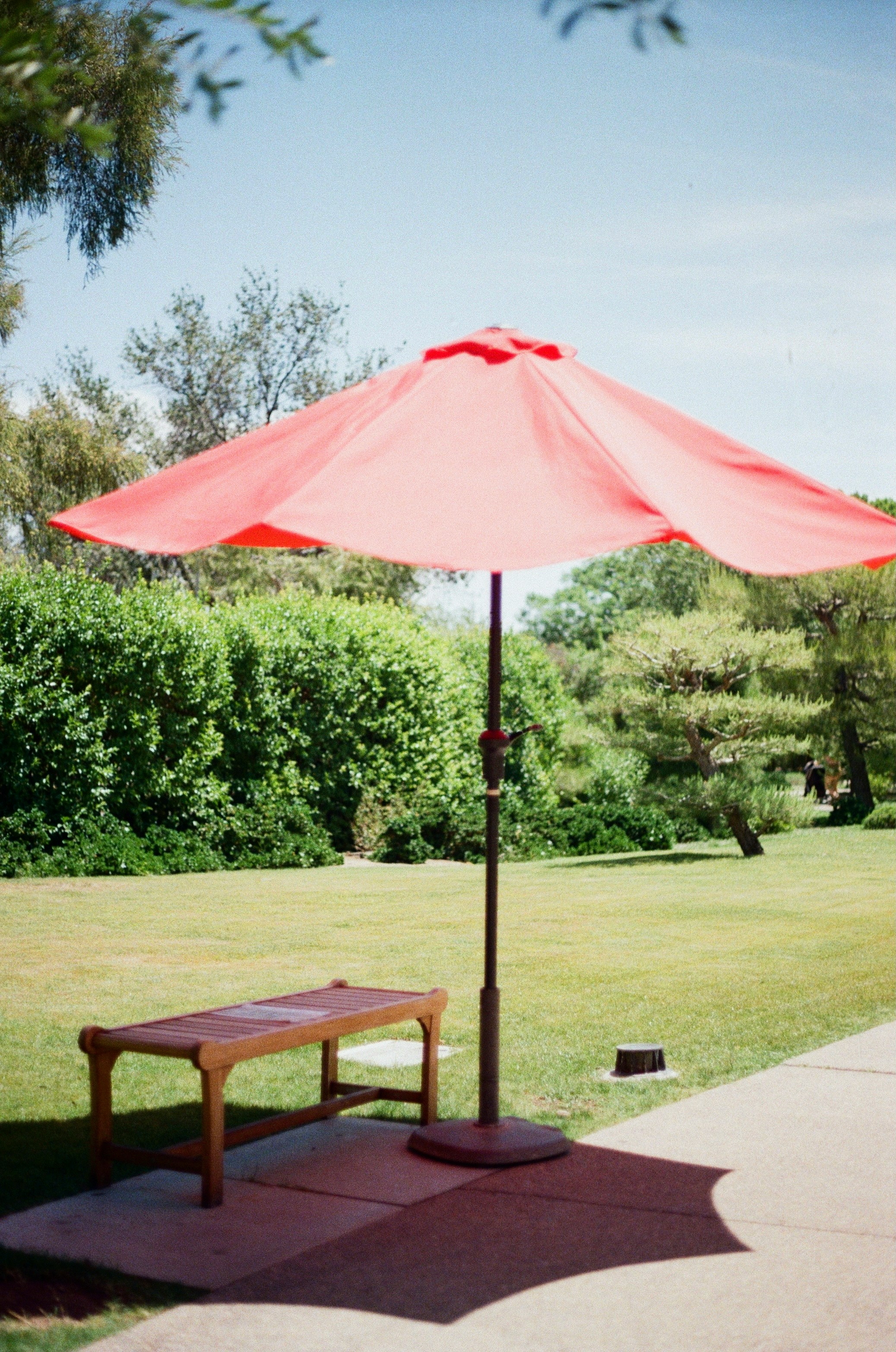 Red umbrella providing shade over a wooden bench in a sunny garden