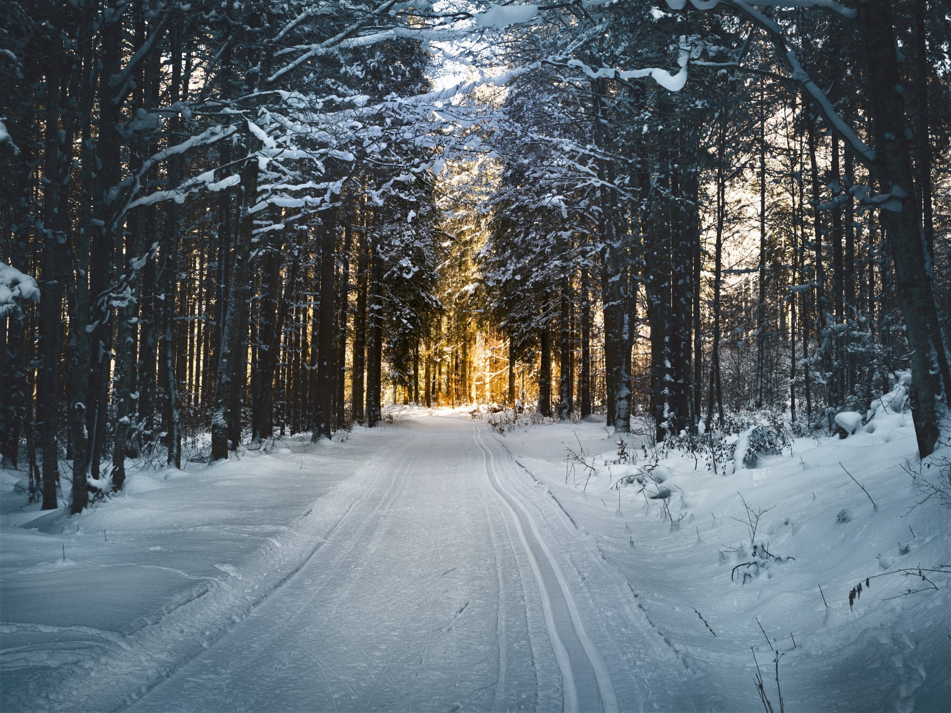 Winterizing Your Vehicle: Essential Tips for a Safe and Smooth Ride