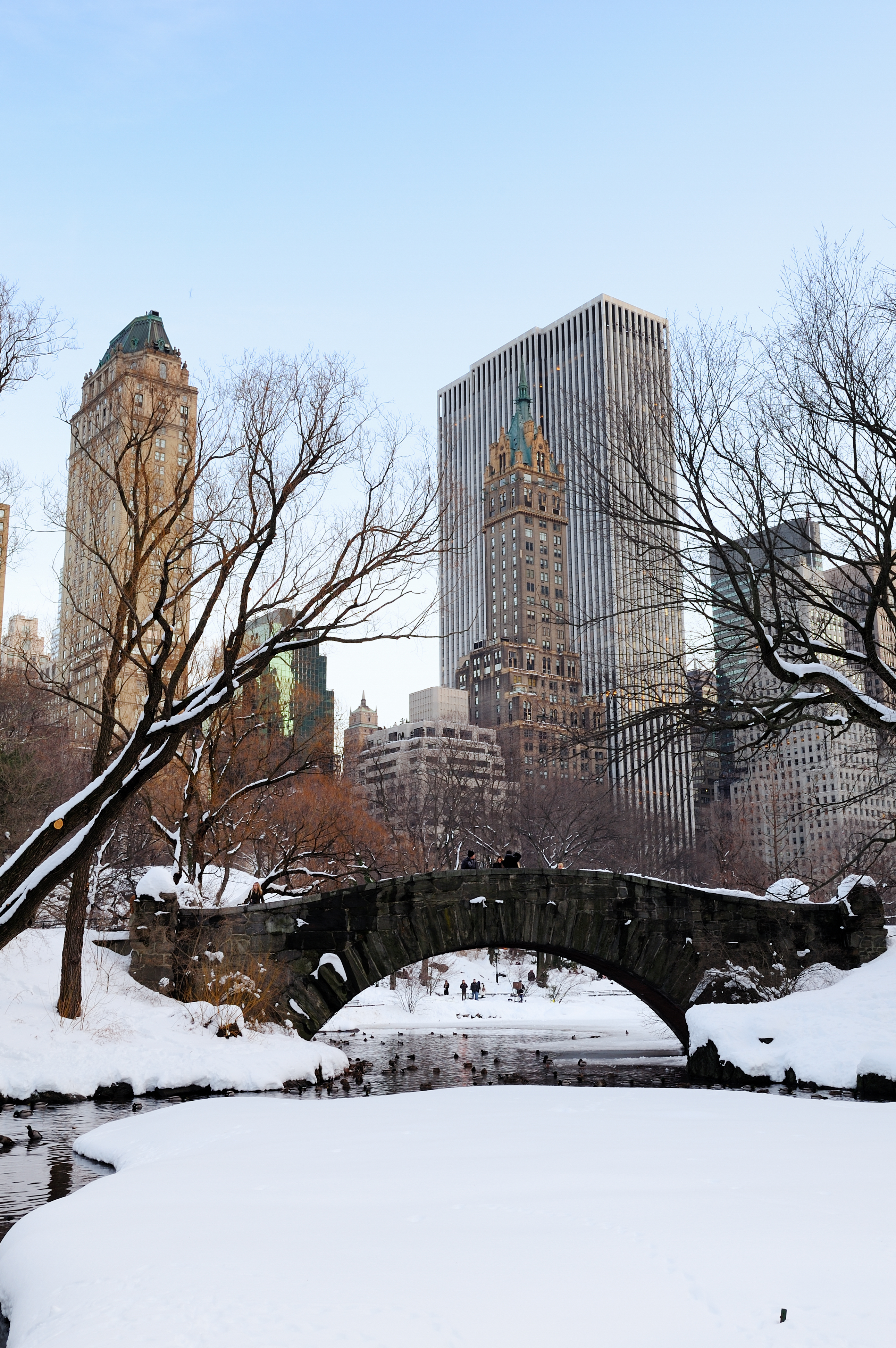 Who is Liable for Icy Sidewalk Falls in New York?