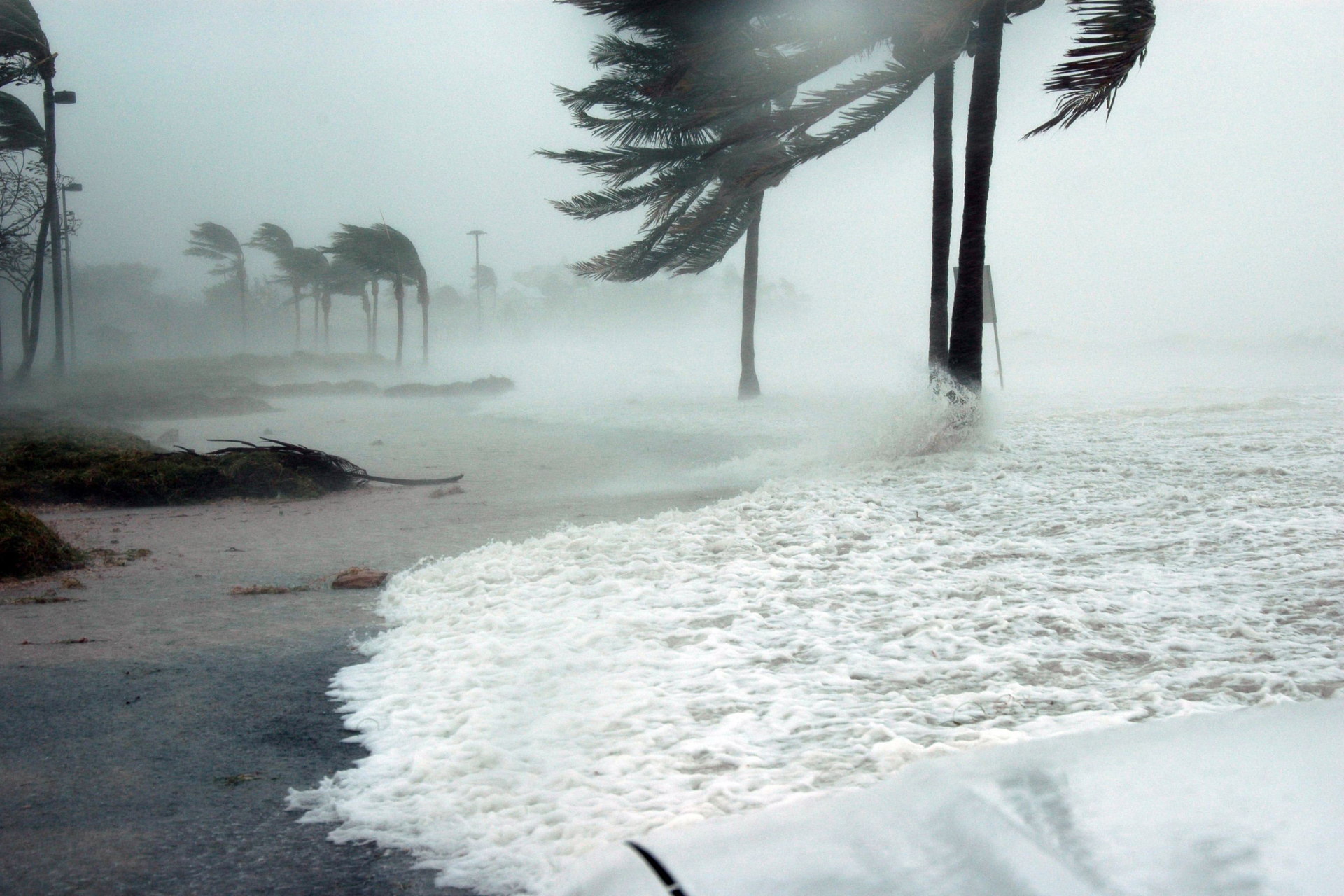 Prepare for Hurricane Season: Essential Steps to Protect Your Home and Family