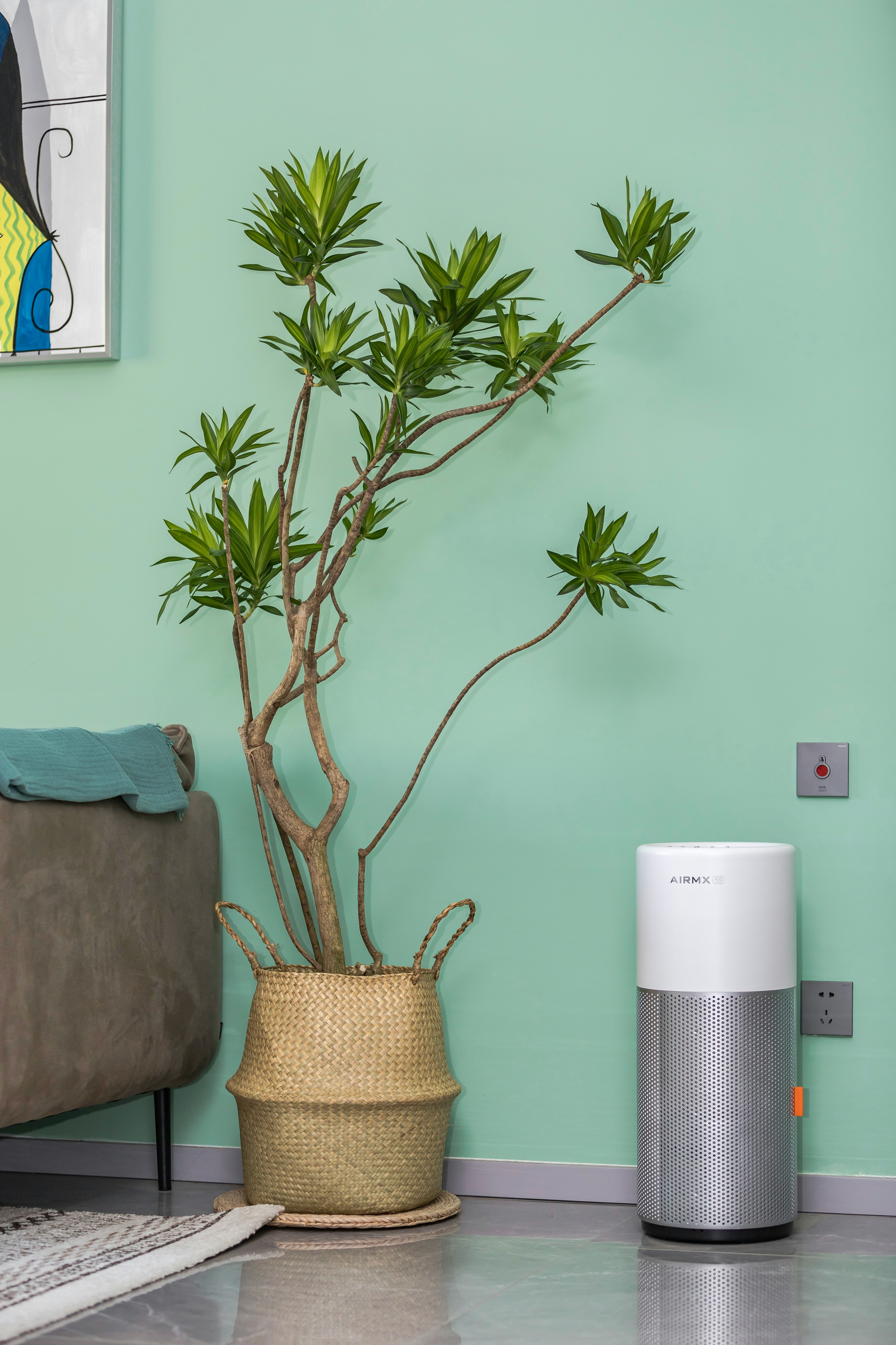 Portable dehumidifiers can help with small, isolated moisture issues, but they often fall short for whole-home humidity problems common in Charleston. Whole-home dehumidifiers are typically the...