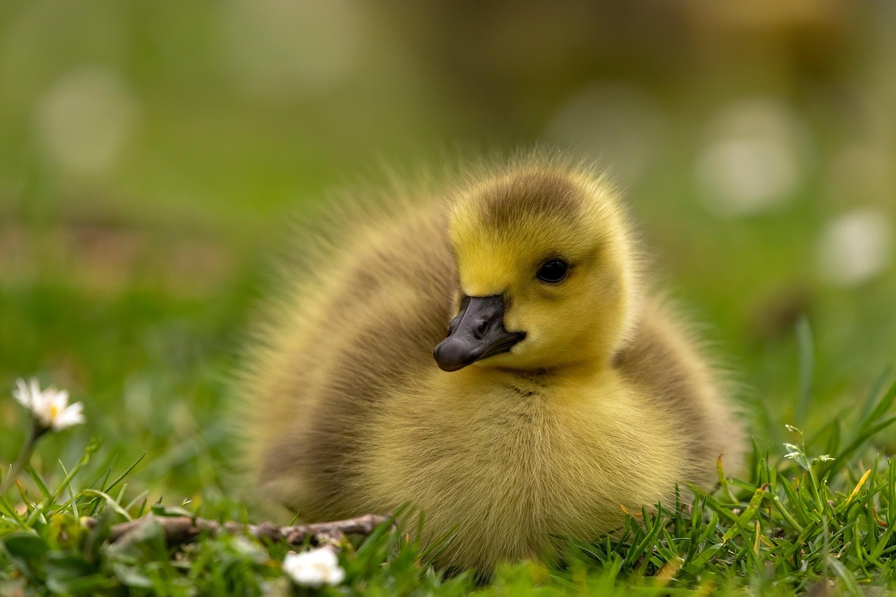 Spring Activities and Health Tips for Medicare Beneficiaries