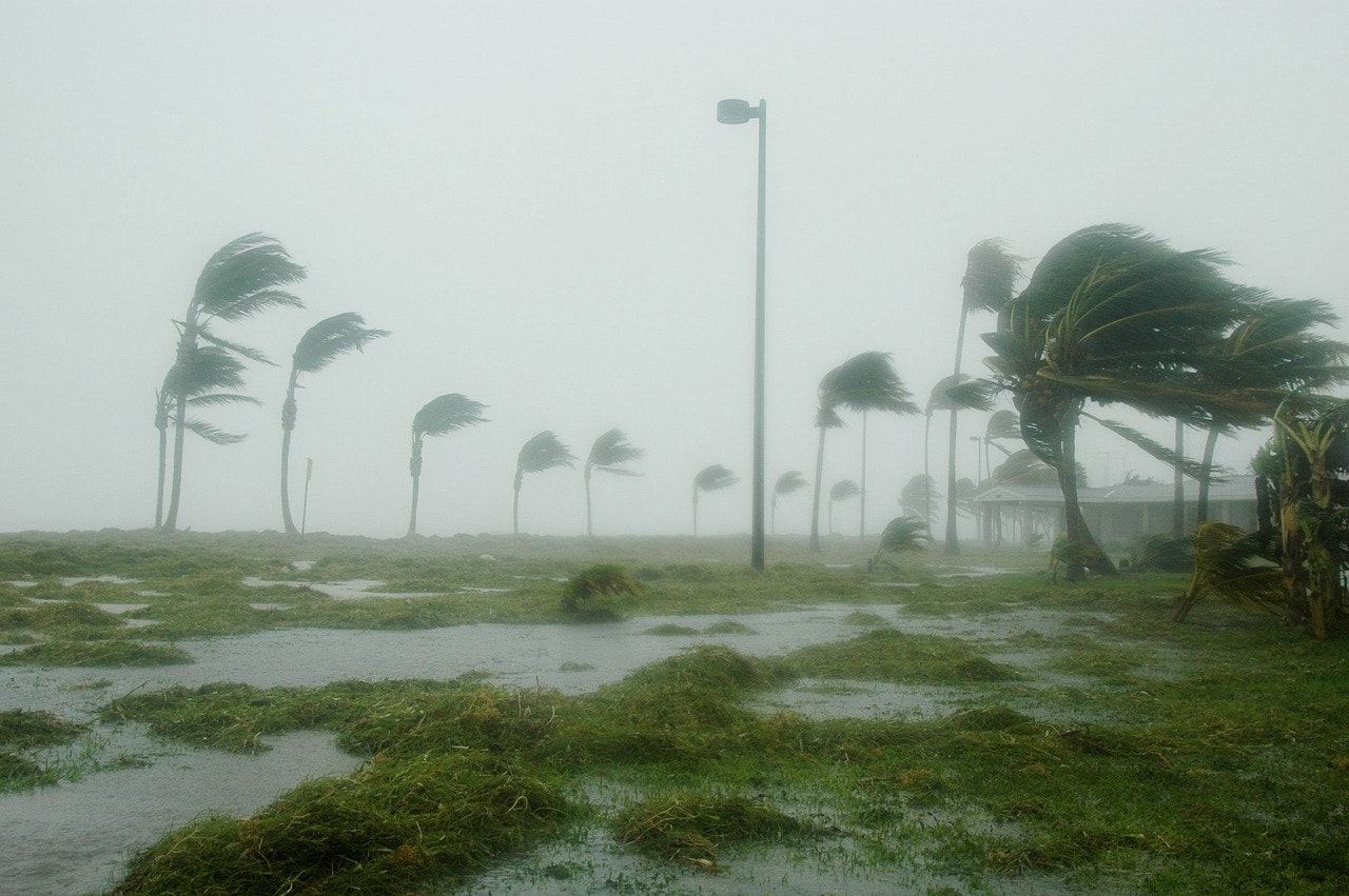 Essential Steps After Property Damage: A Practical Guide