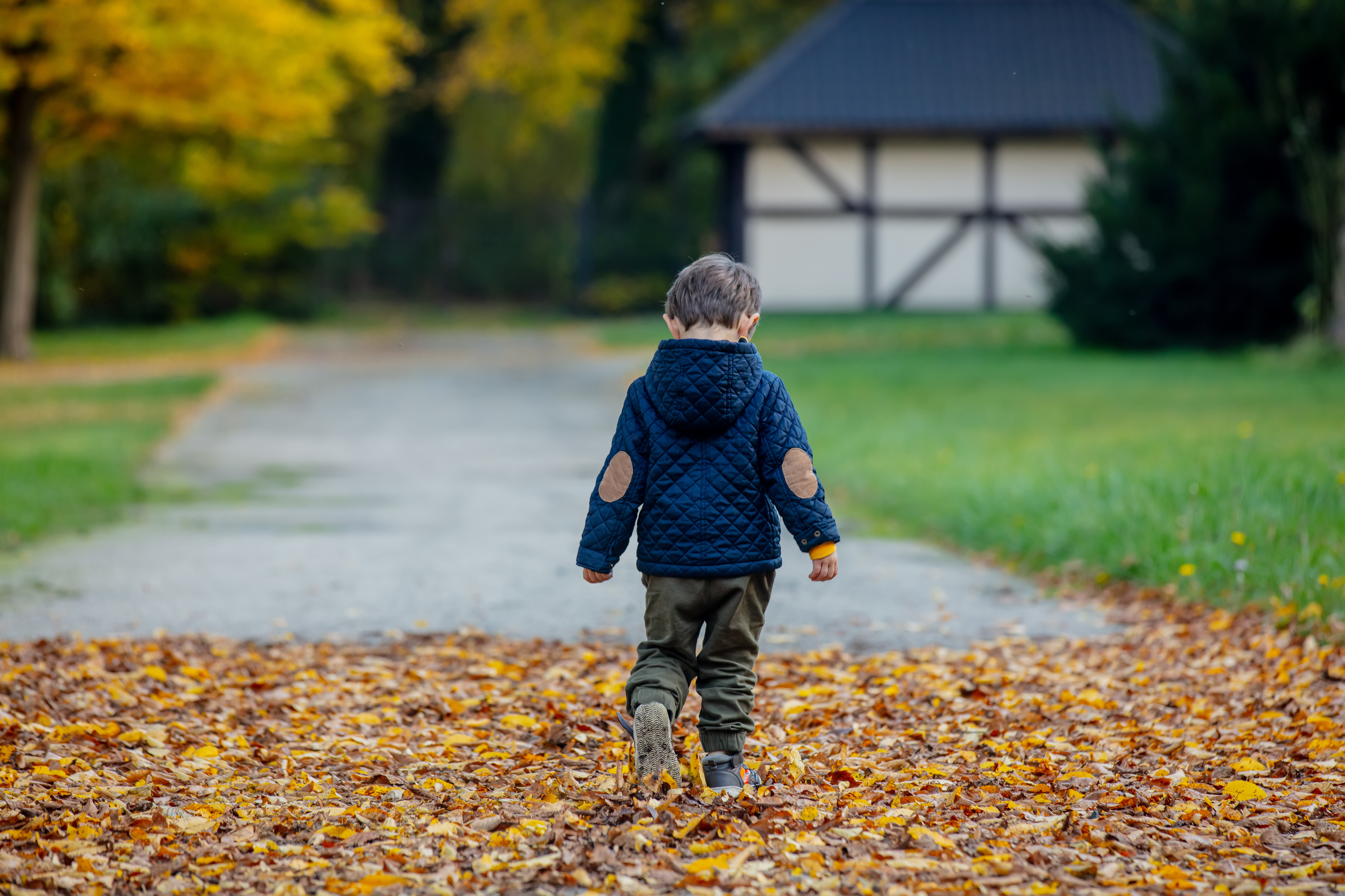 Child walking on a path covered with autumn leaves