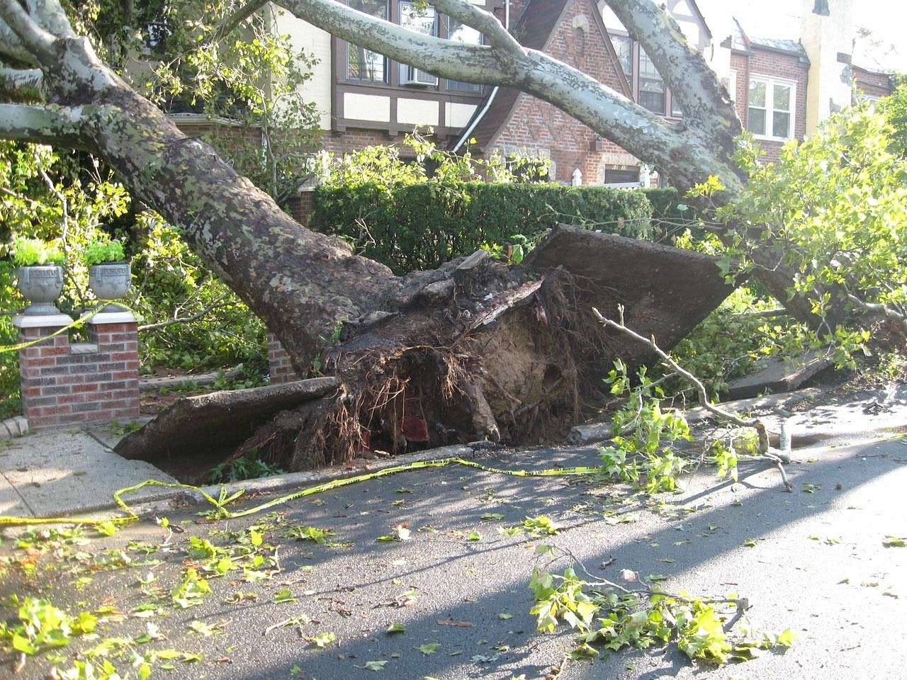 Understanding Property Lines and Homeowners Insurance-Who Pays for Damages?