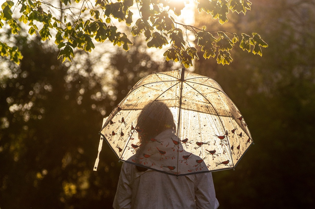 National Umbrella Month: Protection From Rain and Risk