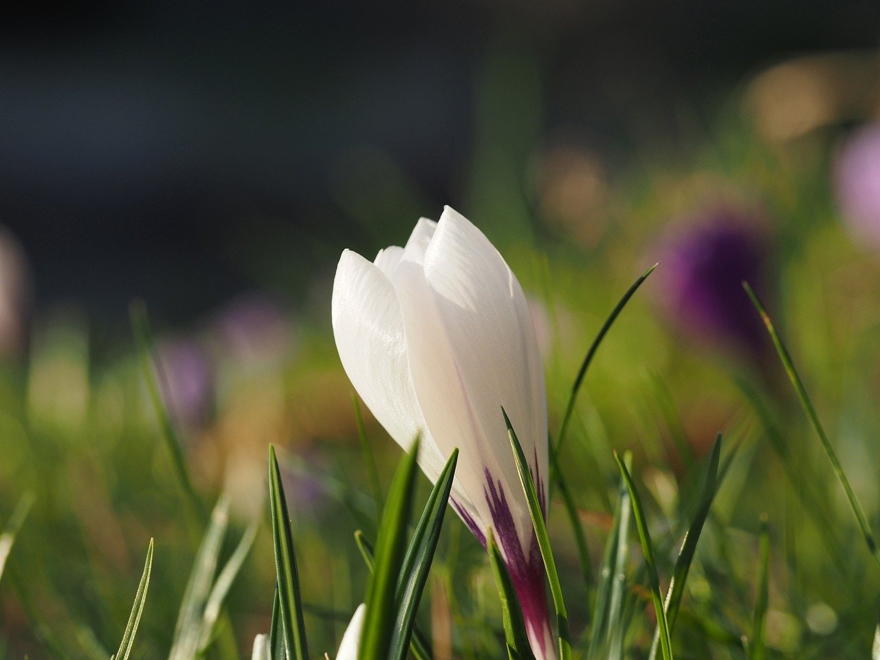 12 Months to Stronger Credit After Chapter 7: A Practical, Encouraging Guide