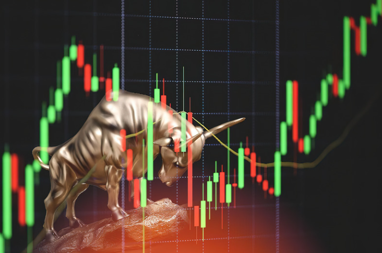 bull market