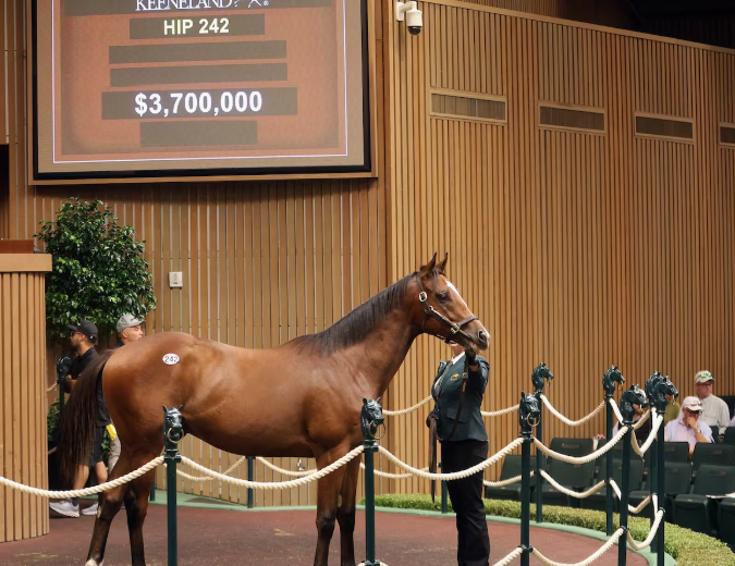 Keeneland Sale