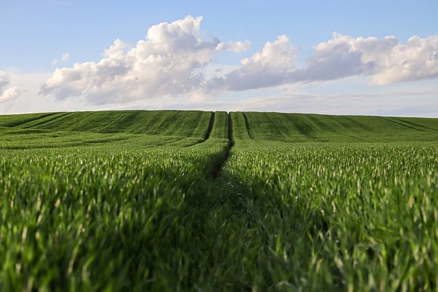 Understanding Property Valuation in Oklahoma Eminent Domain