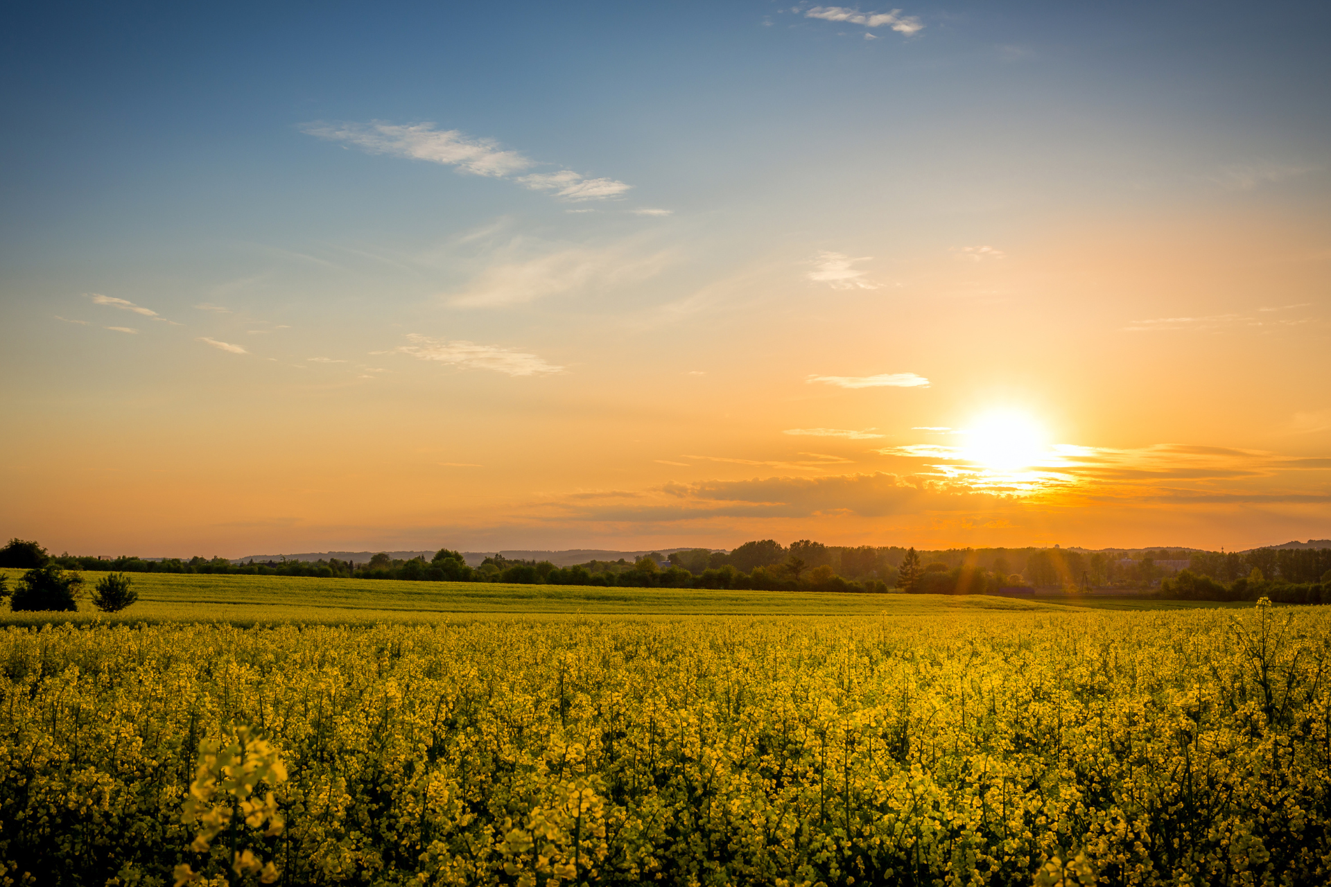 Protecting Property Rights in Oklahoma: What Landowners Should Know