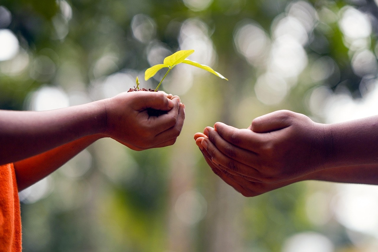 Wealth Transfer: Charitable Giving and Gifting Exemptions