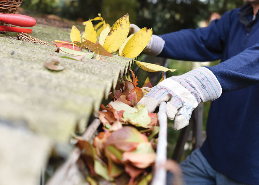 Fall home maintenance tips for Michiganders