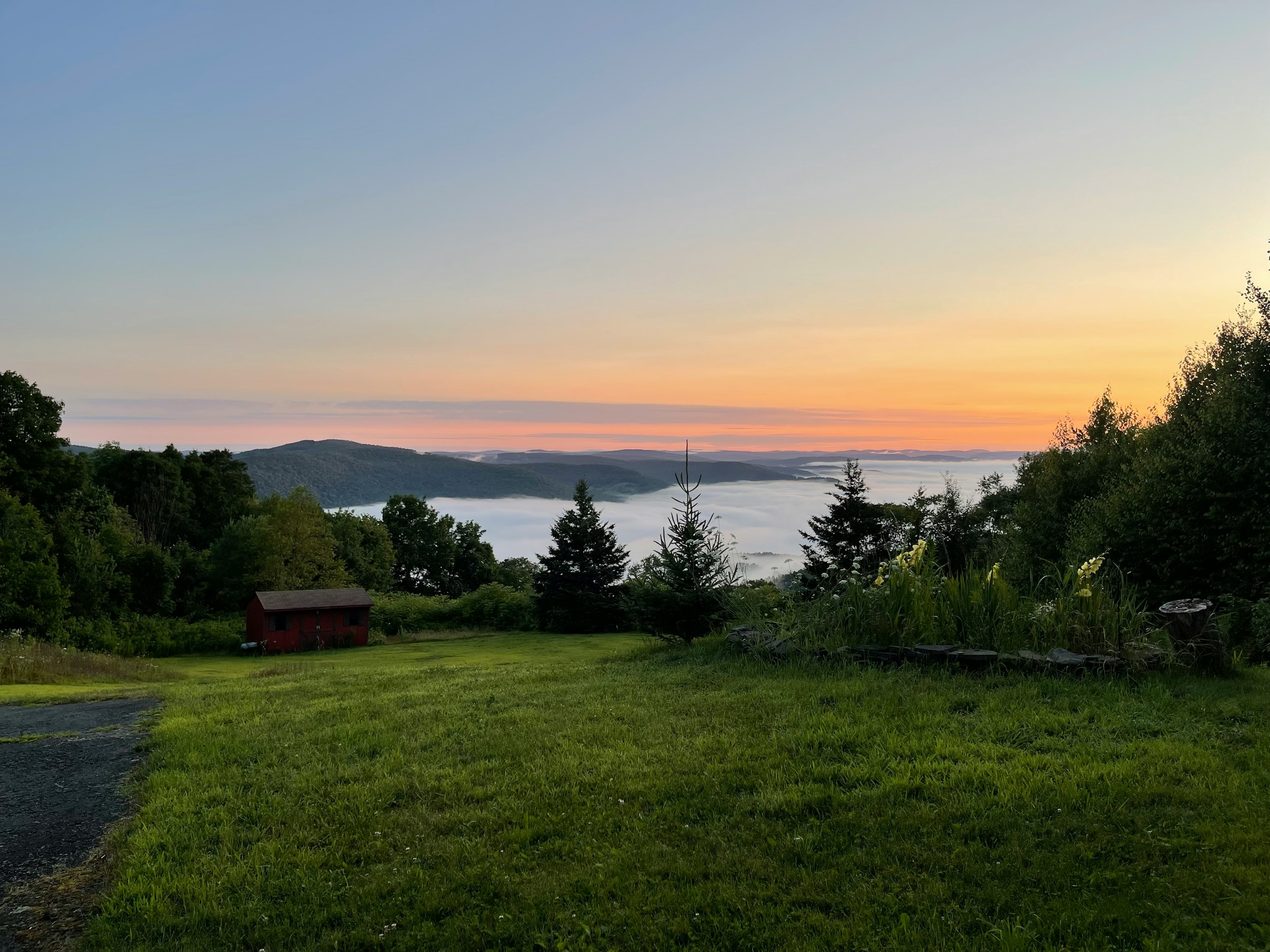 Scenic view of a grassy field with trees and a small red shed at sunrise