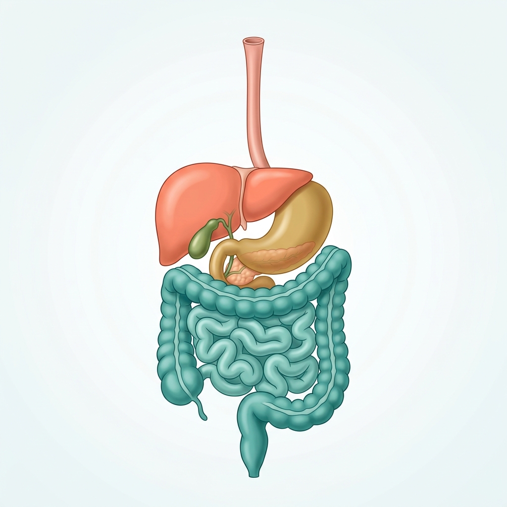 Sick and Tired of Feeling Sick and Tired? Look Deeper