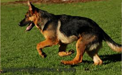 hero image