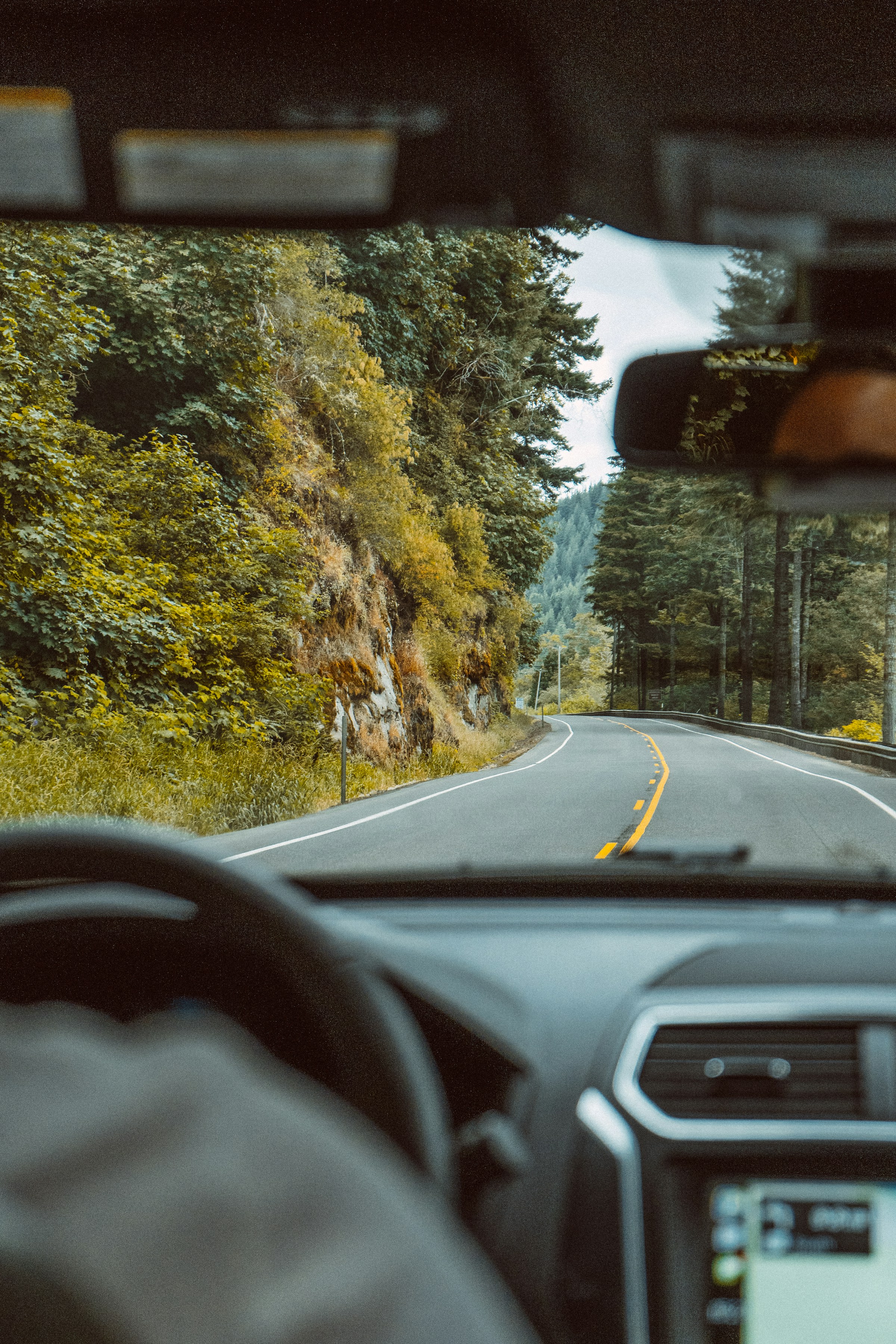 View from inside a car driving on a winding forest road