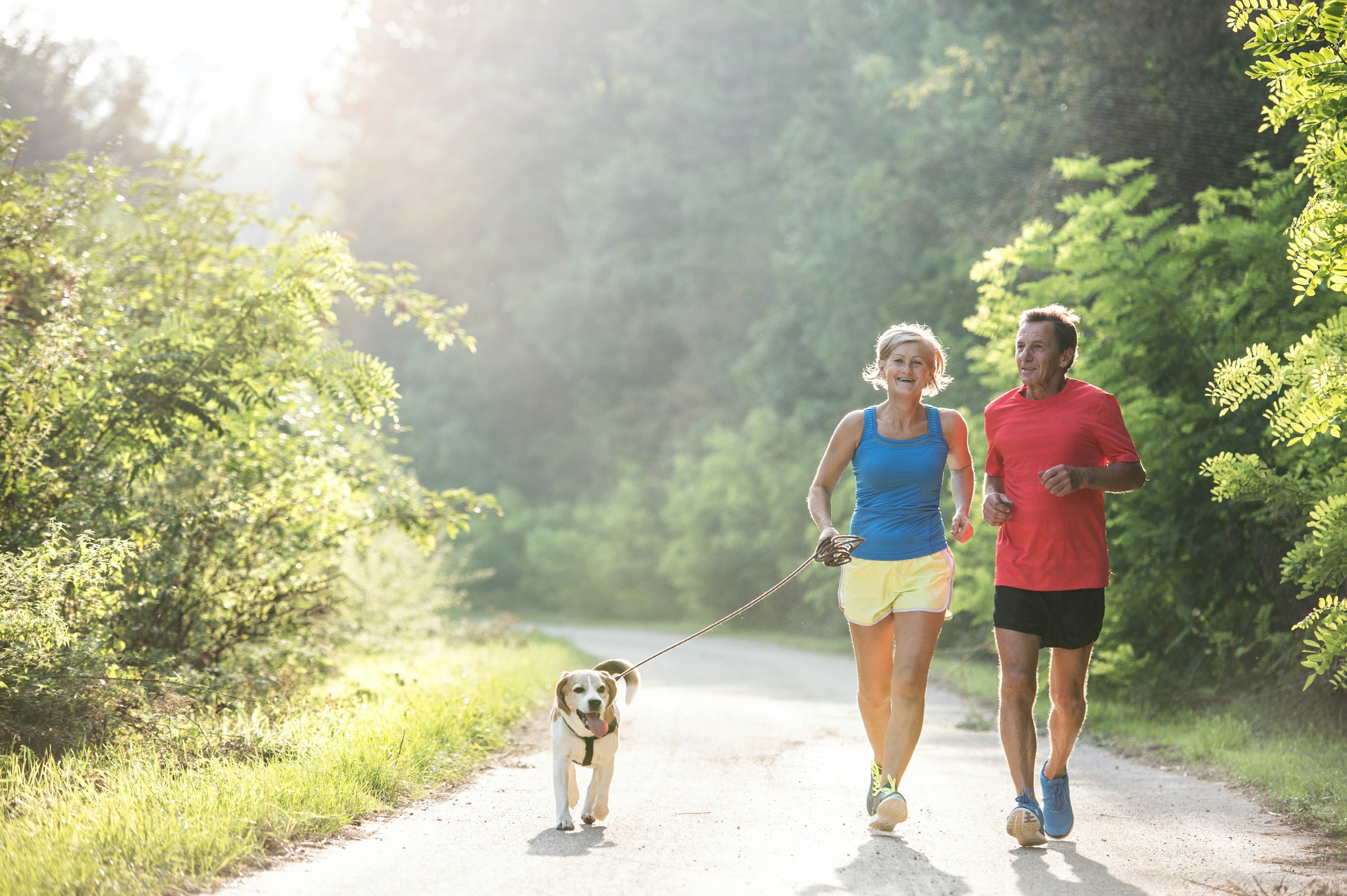 Older couple jogging with a dog on a sunny path surrounded by greenery