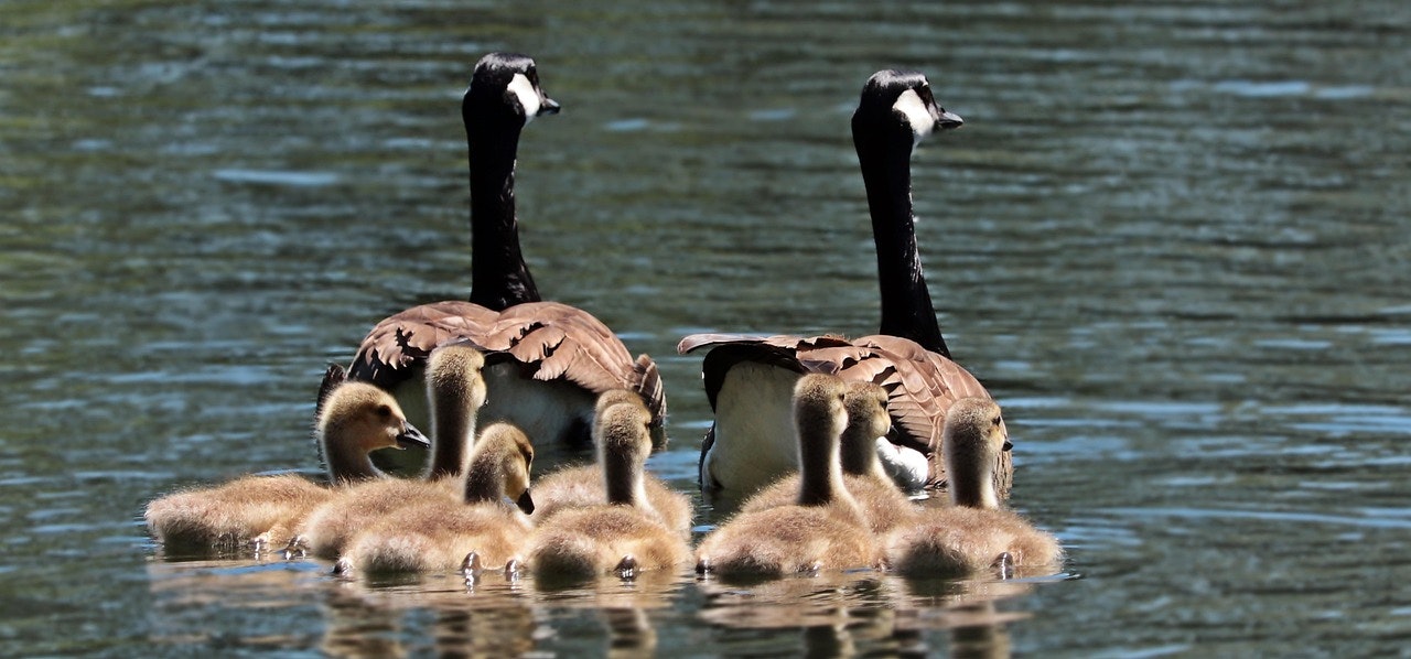 9 Factors in Determining Child Custody