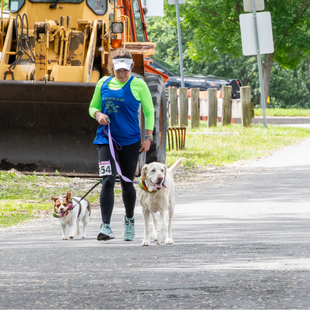 Blog Training Tips for Running the Woofstock 5K with your Dog 