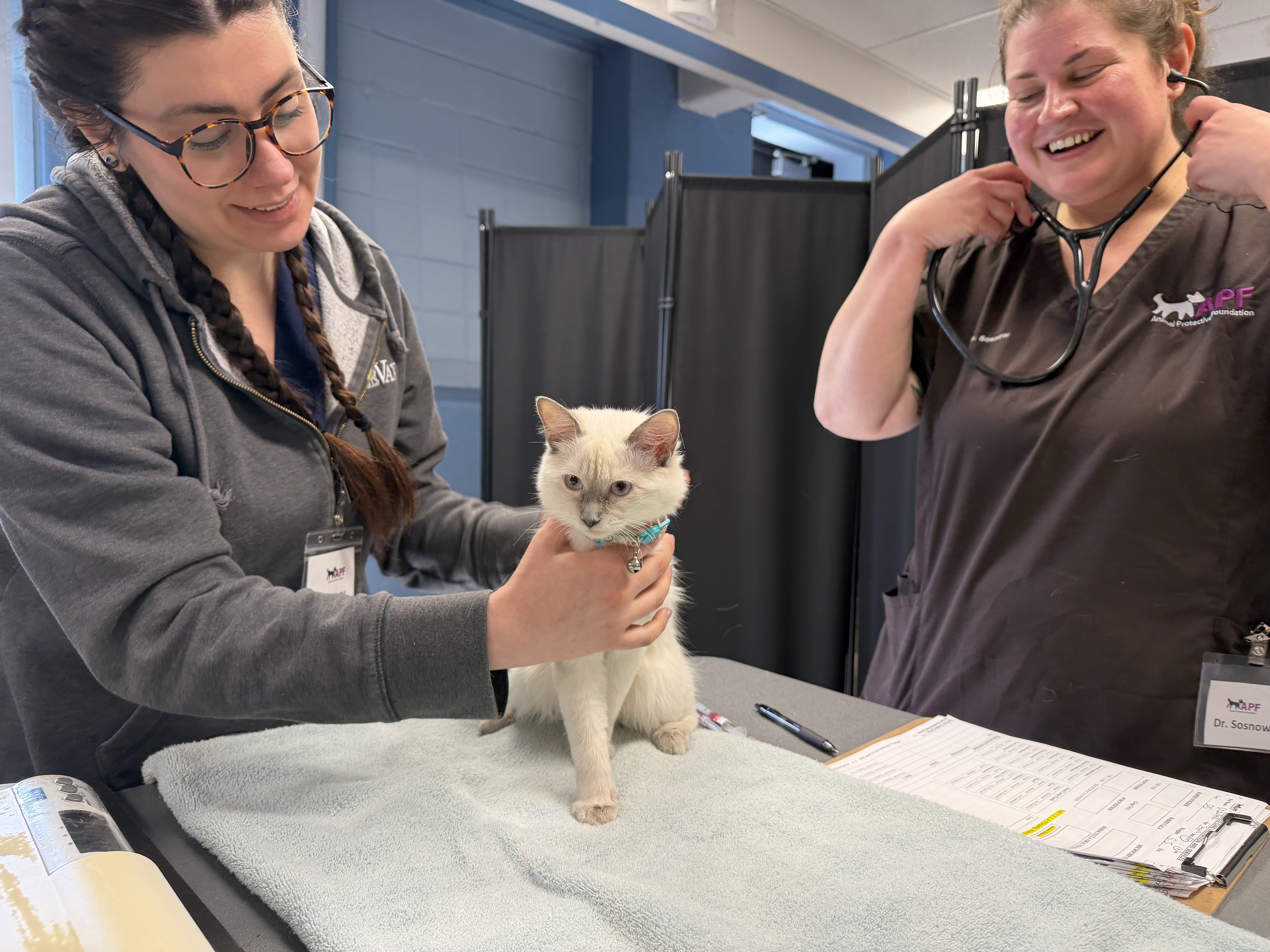 Community Pet Wellness Clinic Recap