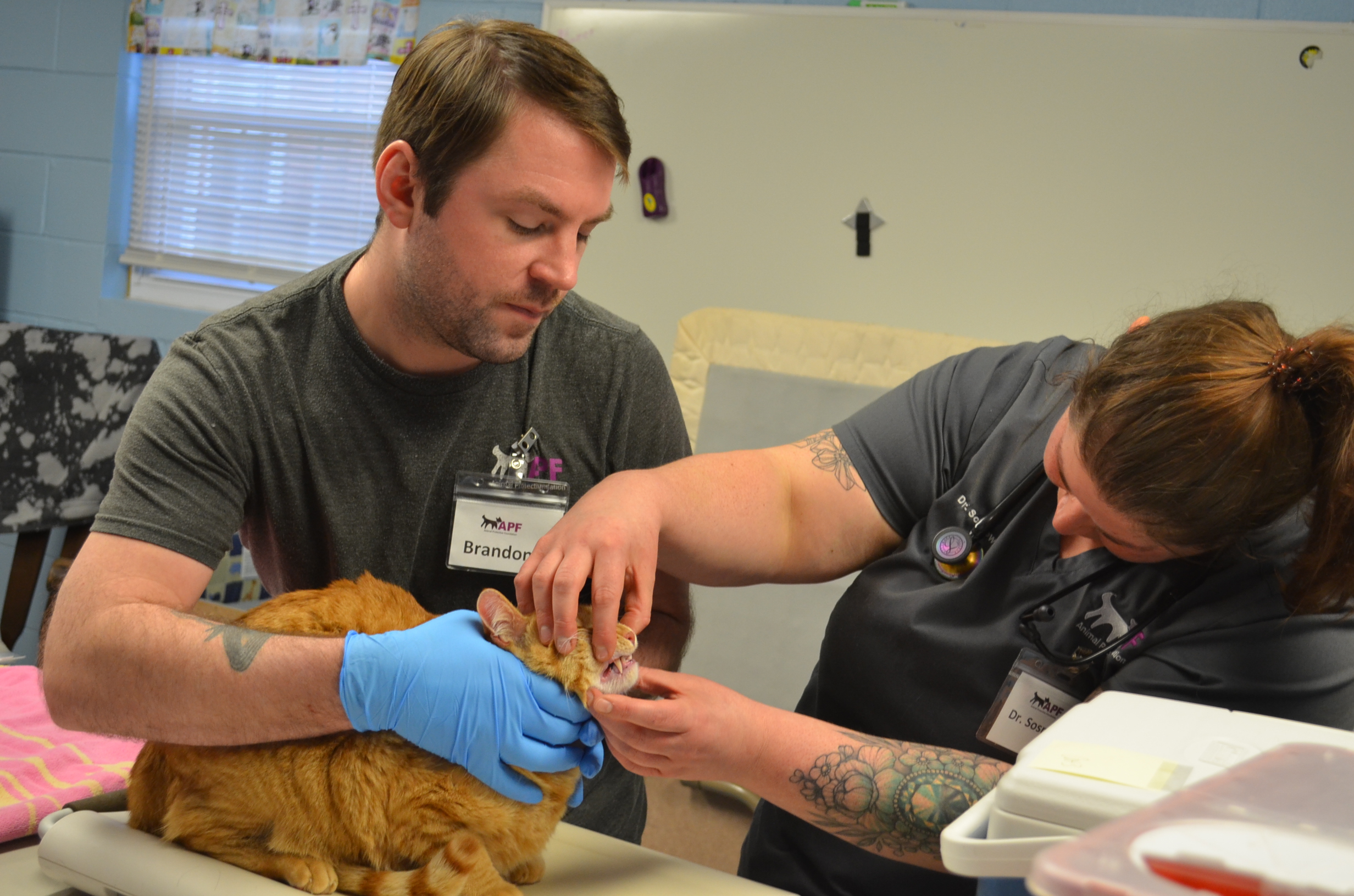 Community Pet Wellness Clinic Recap