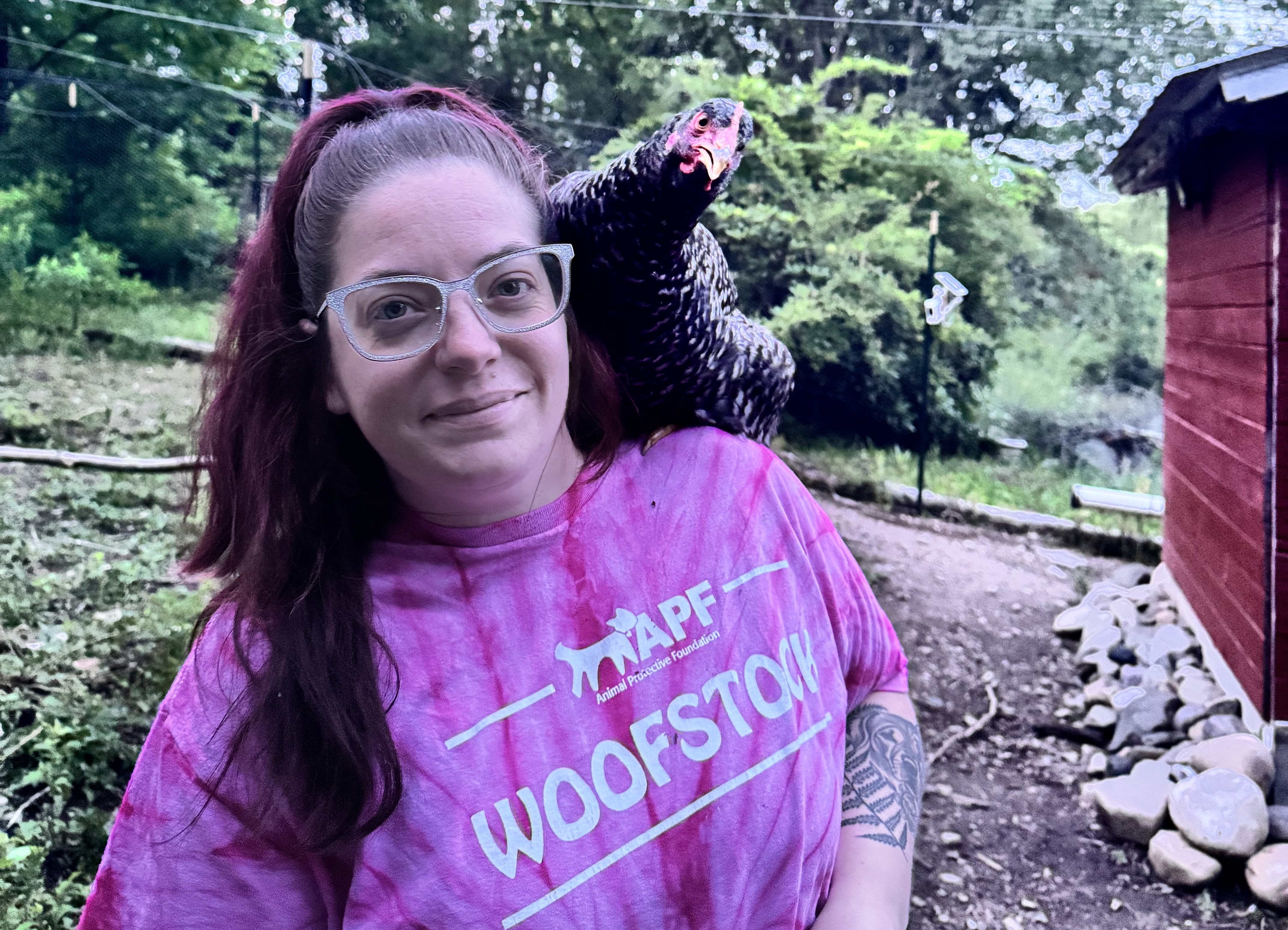 APF Staff Spotlight: Debra Jennings, Director of Shelter Operations