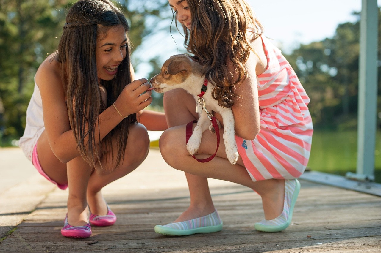 Fun Ways Kids Can Make a Difference for Animals