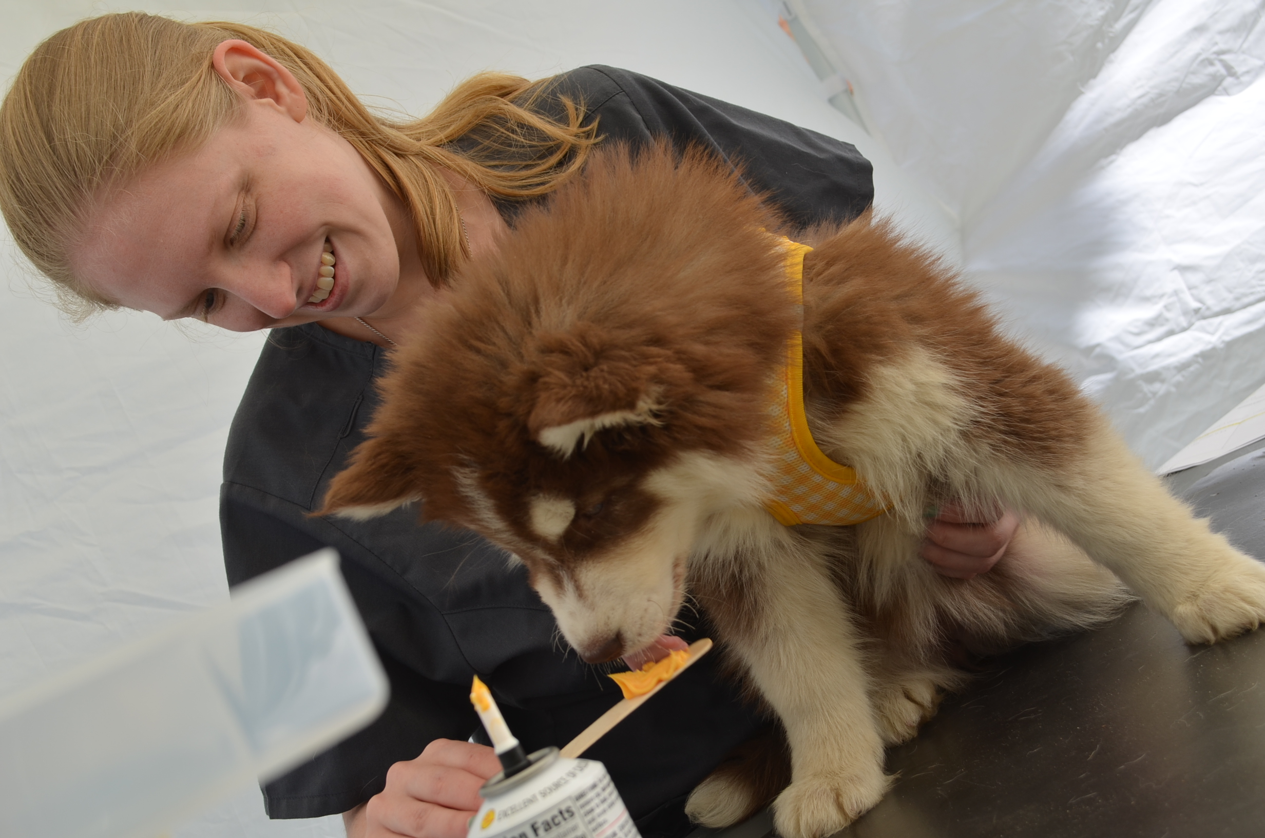 Community Pet Wellness Clinic Recap