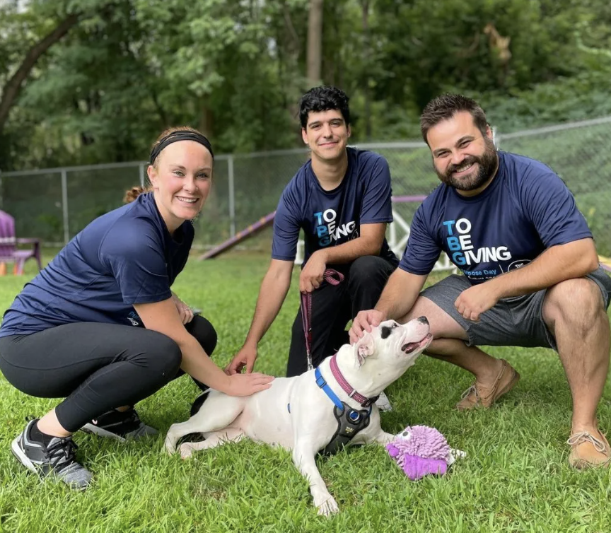 Discover the Joy of Volunteering with the Animal Protective Foundation