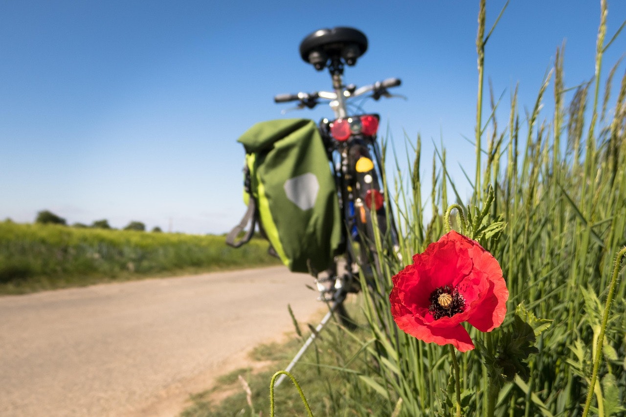 Navigating Bicycle Accident Injuries in Raleigh-Durham-Chapel Hill