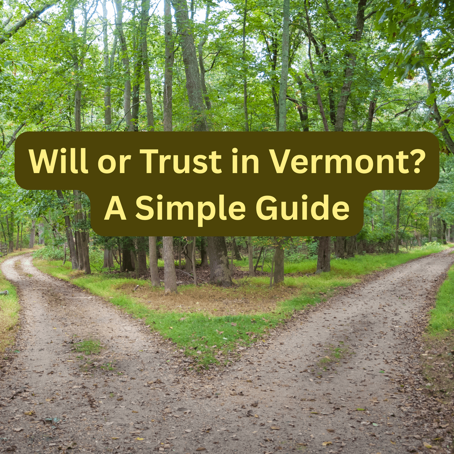 Will or Trust? A Simple Guide