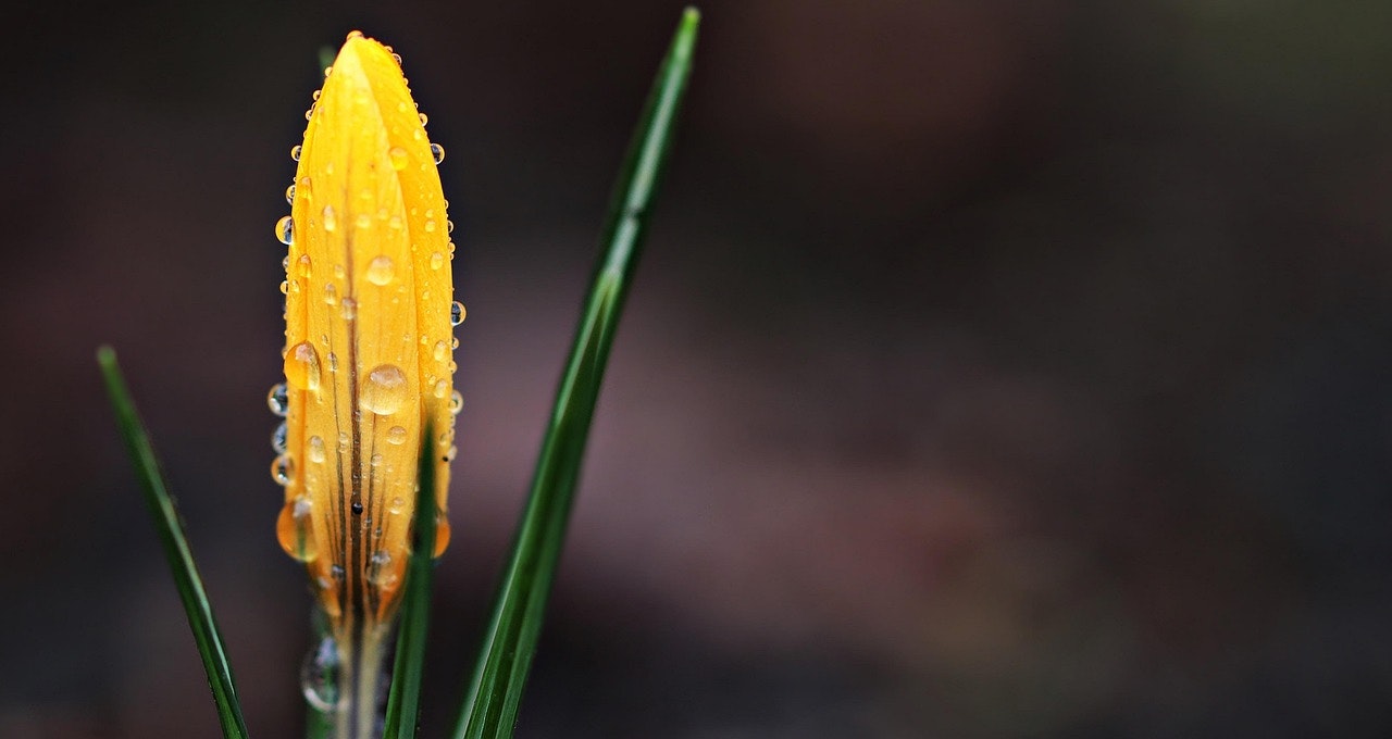 There’s something about spring that always brings a renewed sense of energy; longer days, warmer weather, and in the real estate world, a noticeable uptick in activity. Every year, we see more...