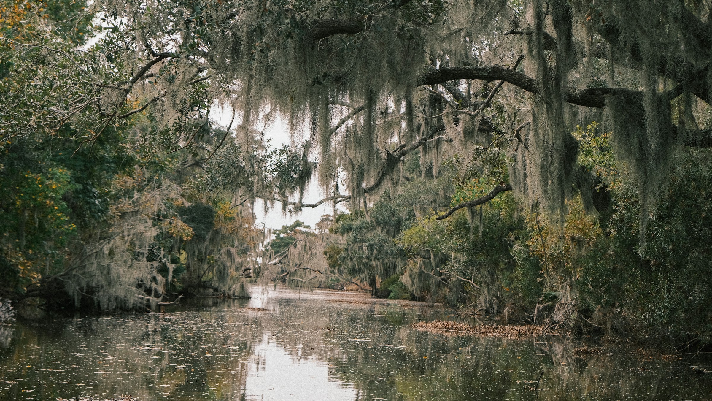 Recent Louisiana Injury Law Changes That Could Affect Your Claim