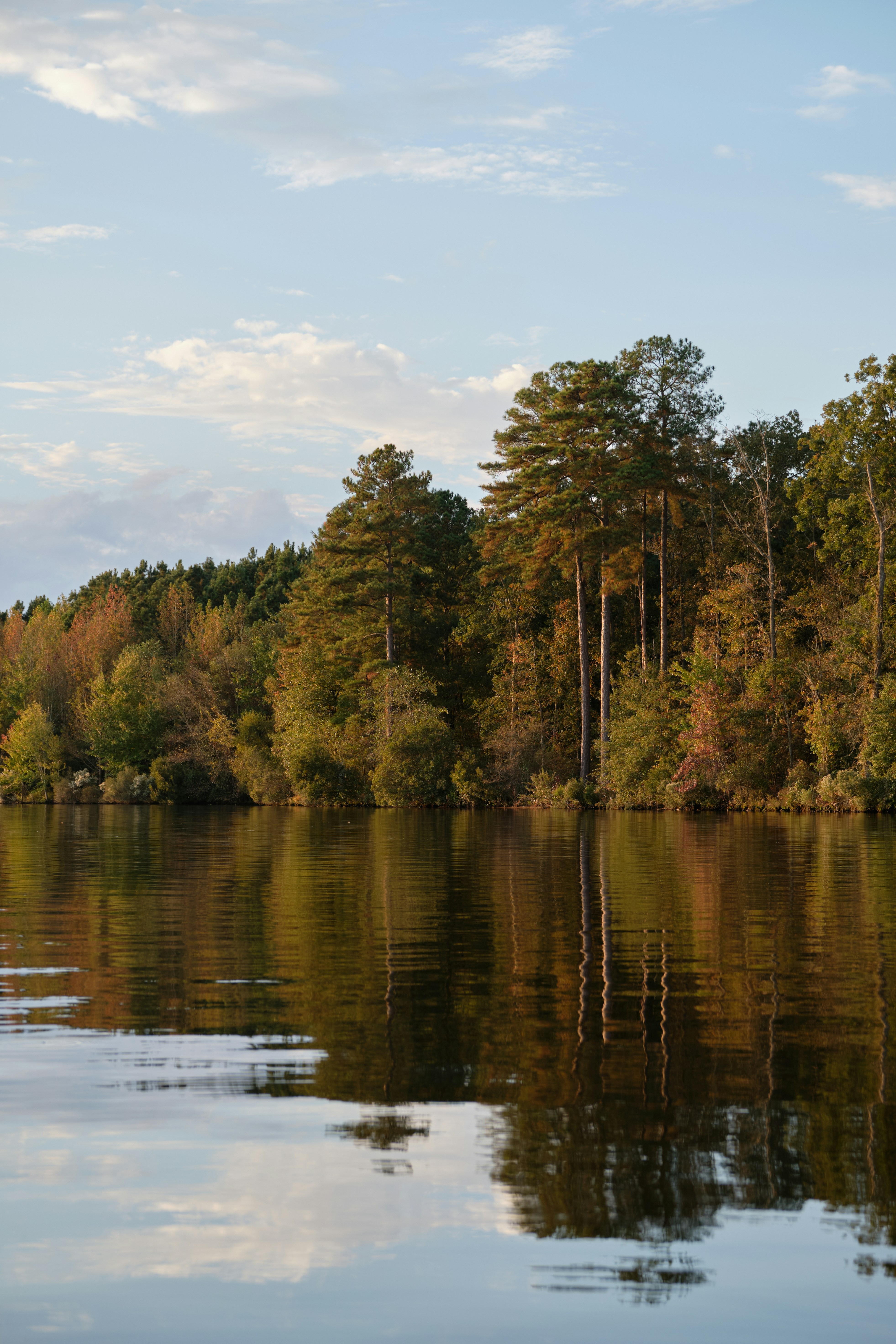 Scenic view of a lake with trees reflecting on the water