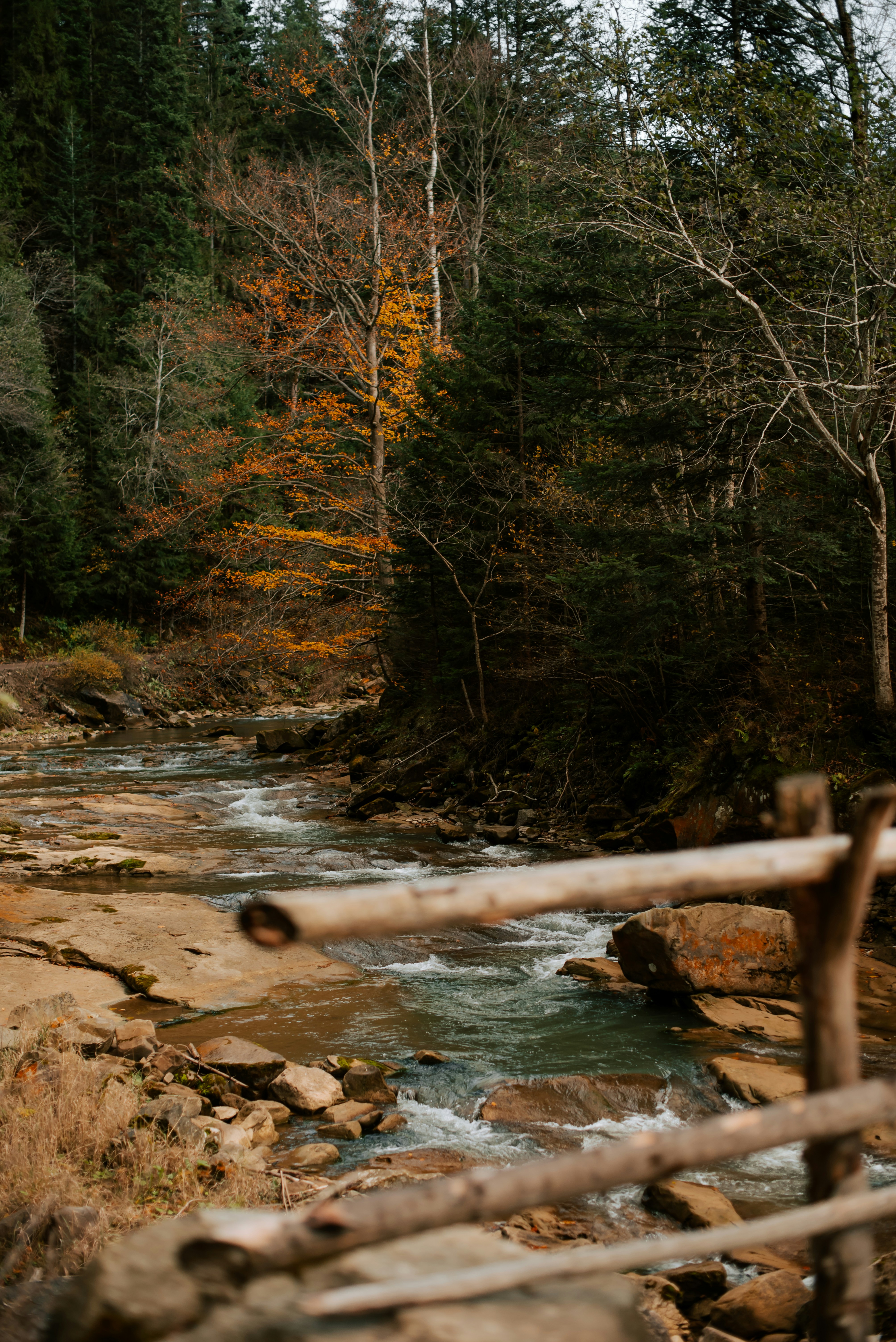 Scenic view of a forest river with autumn foliage and a wooden fence in the foreground