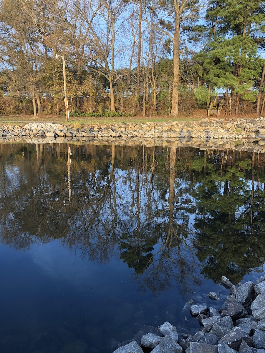 The Top Medicare Advantage Plans in Columbia, SC for 2025: Your Complete Guide with Mauldin Insurance Group