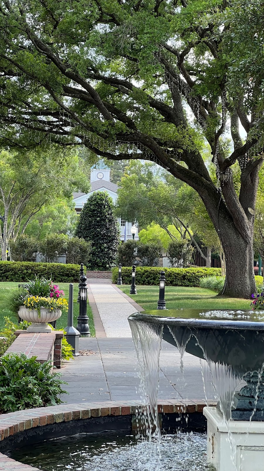 Medicare Agent in Summerville, SC