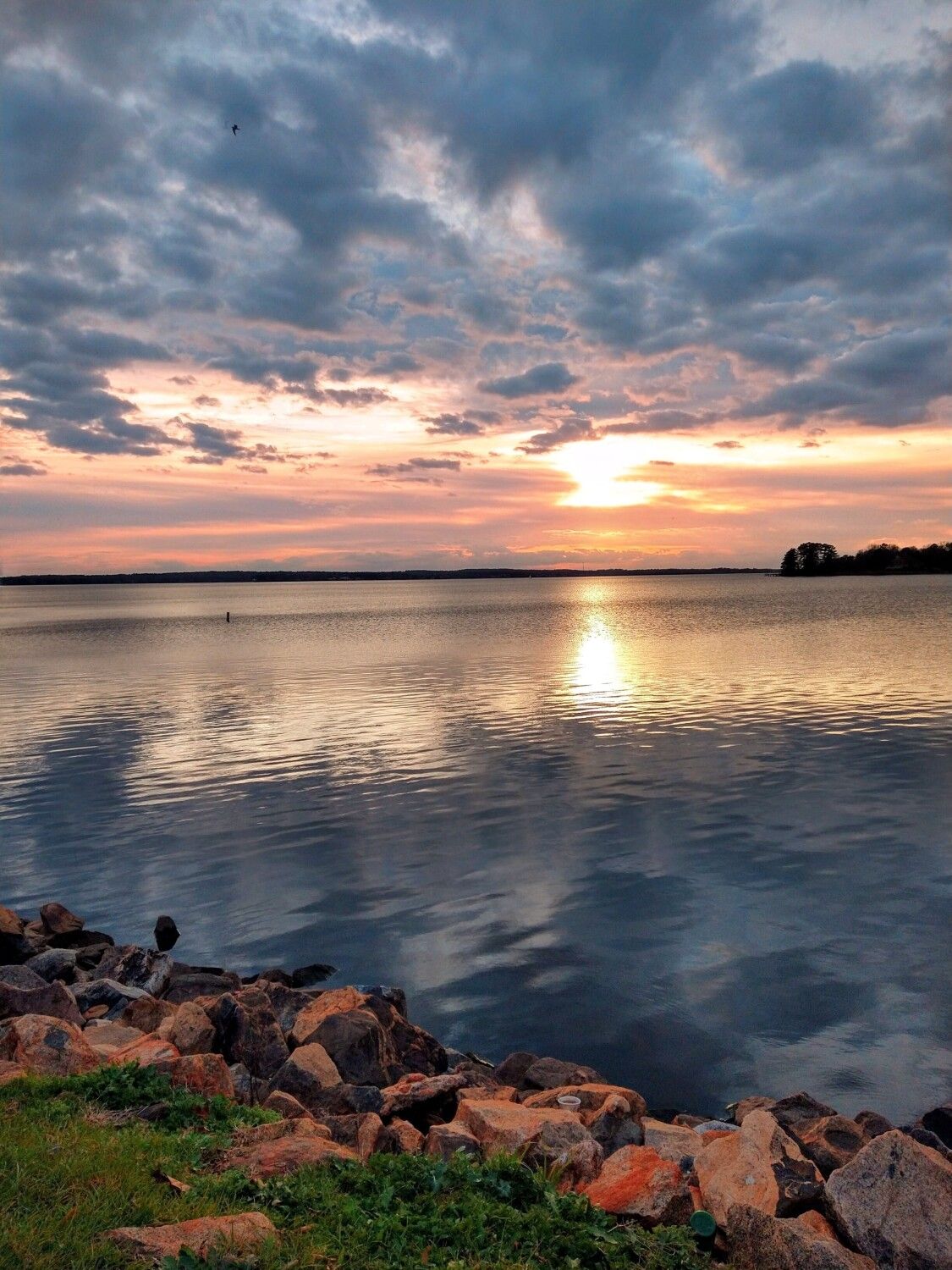 Medicare Agent in Sumter, SC | Local Medicare Help Near You