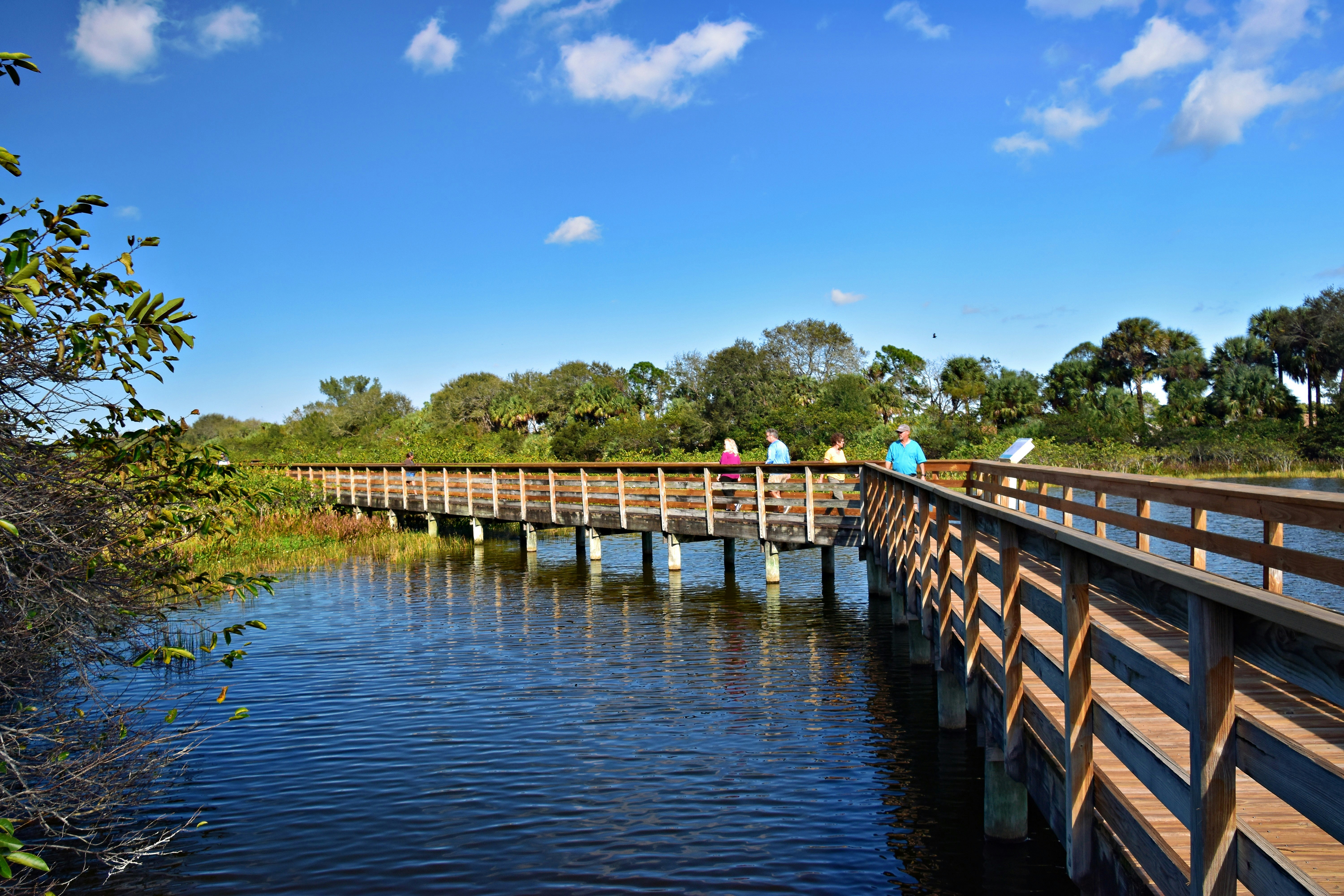 People walking on a wooden boardwalk over a body of water with trees in the background