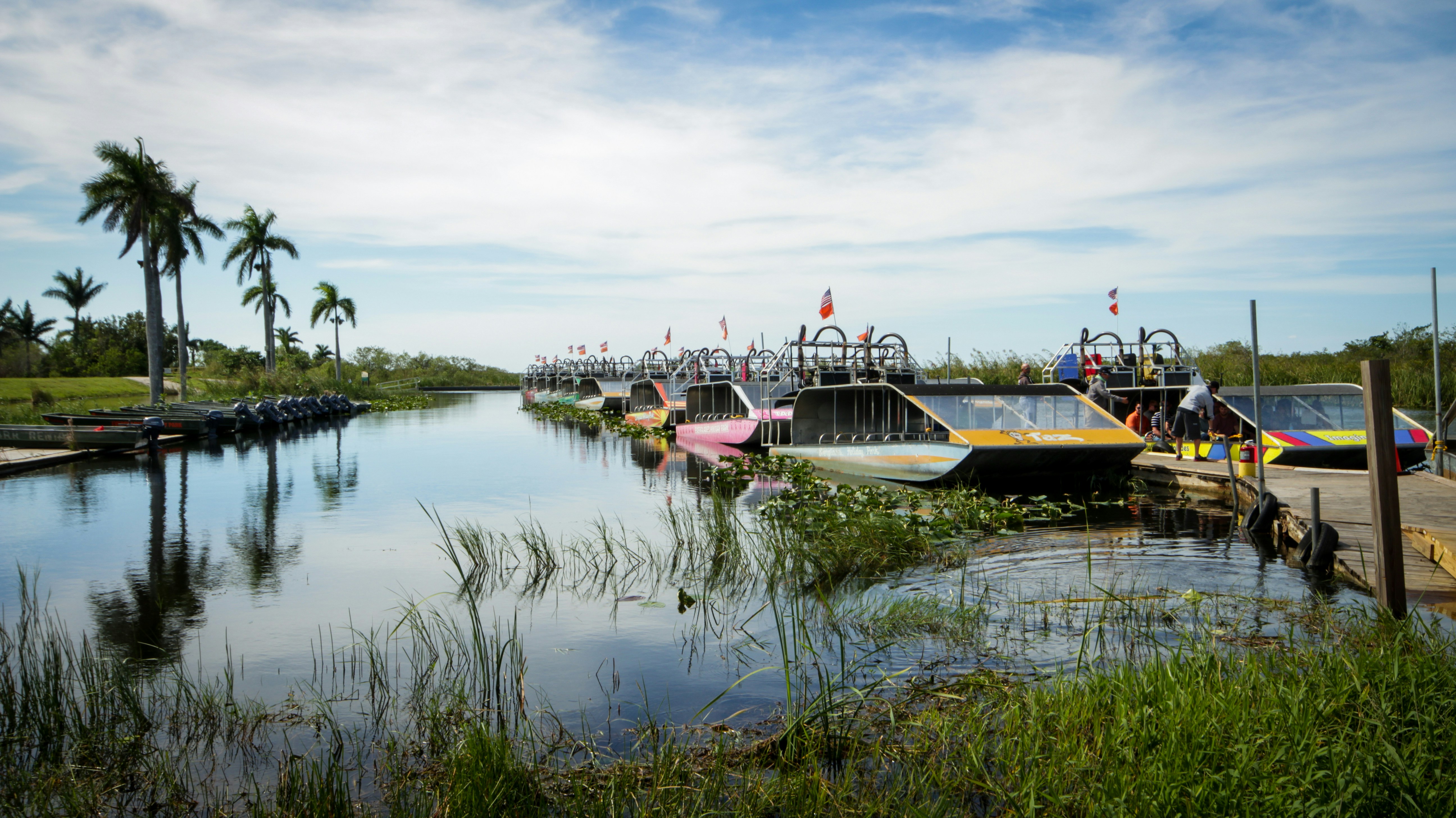 Airboats docked along a calm waterway with palm trees in the background.