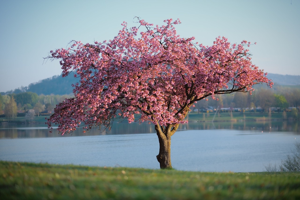 New Beginnings: Launching My New Website