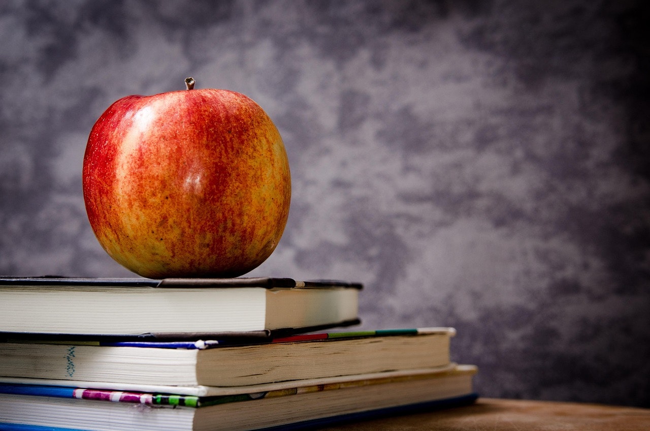 As summer winds down and families across Volusia and Flagler Counties prepare for a new school year, August becomes an important month for planning, organizing, and strengthening household...