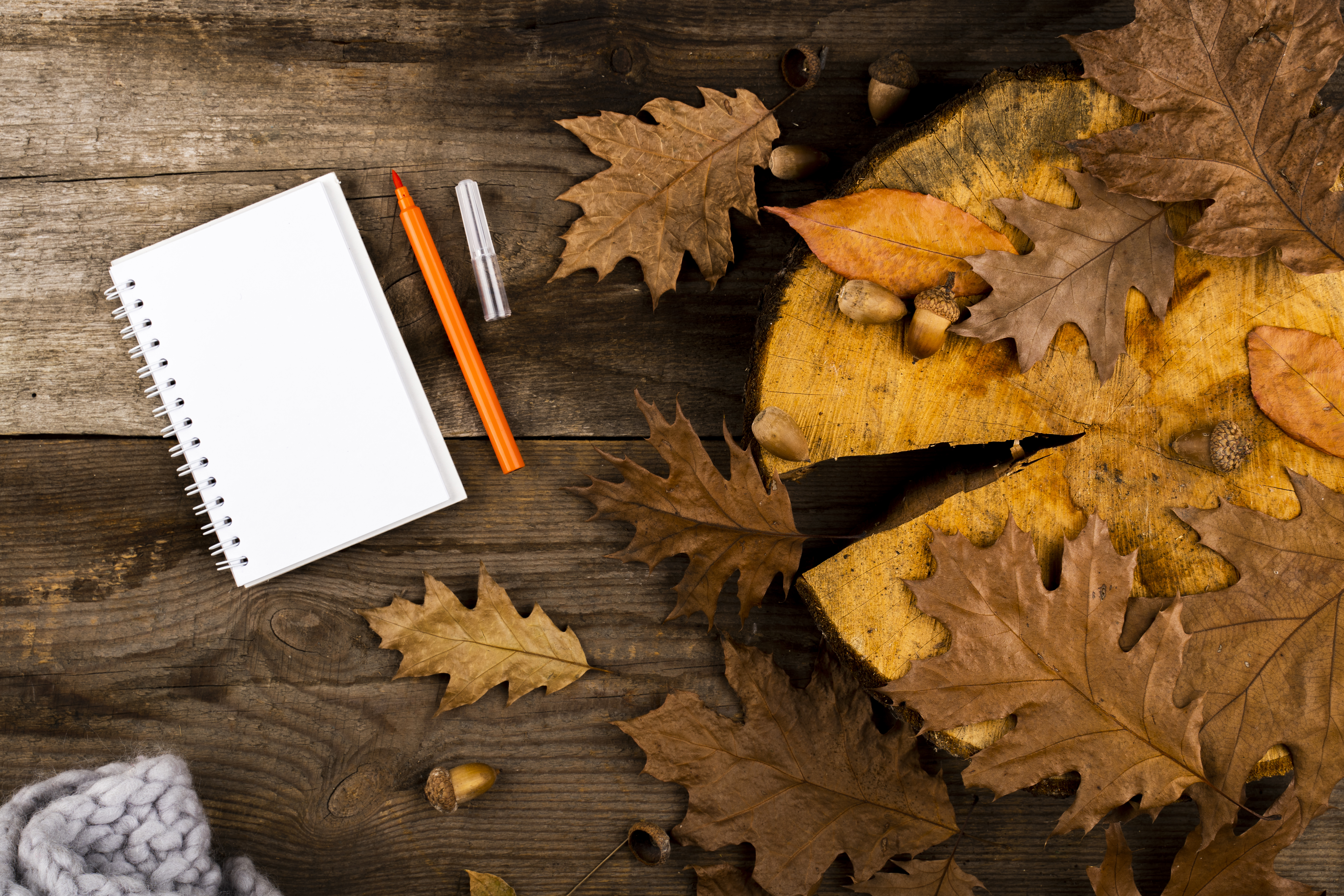 Why Tax-Loss Harvesting Might Just Be the Fall Cleaning Your Finances Need